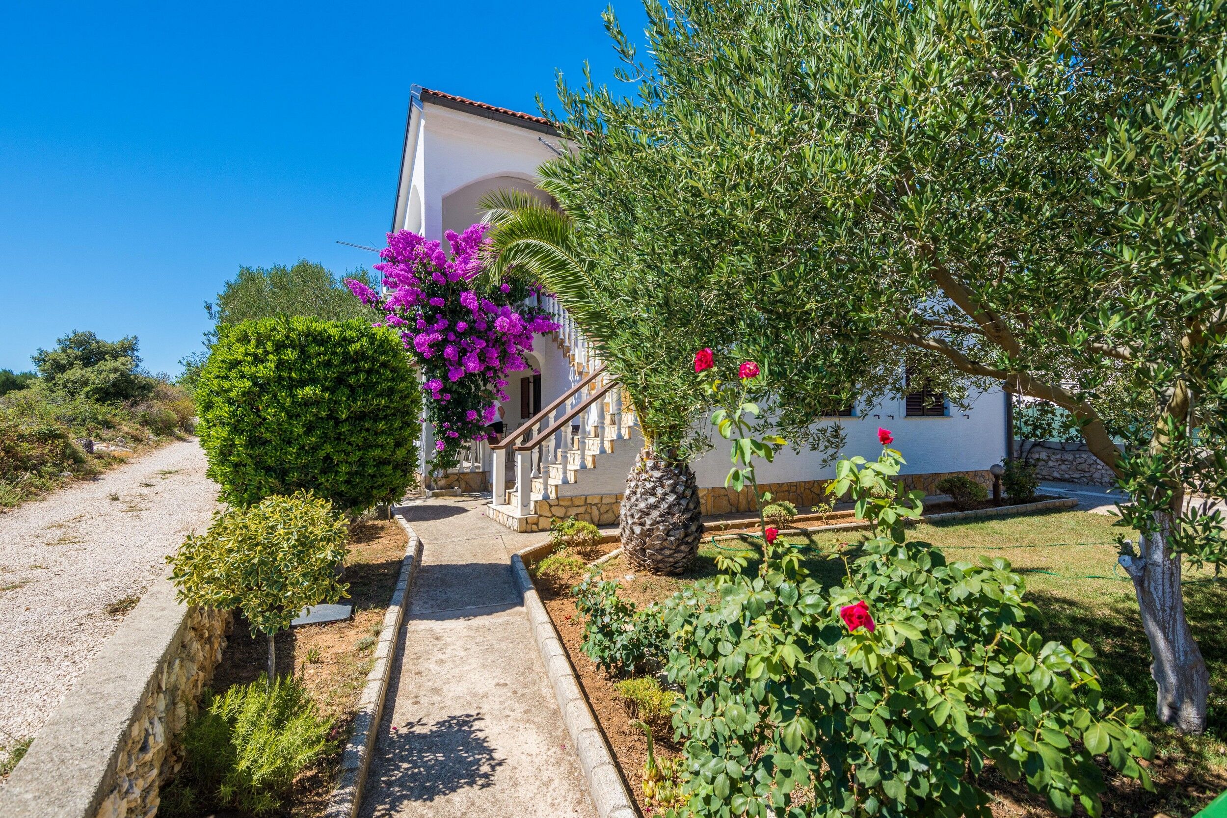 Apartment Susa Accommodation in Vir