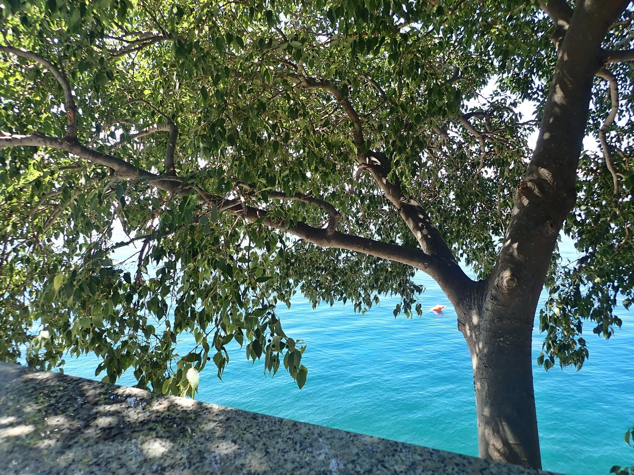Apartments LILLY BY THE SEA 42016-A2