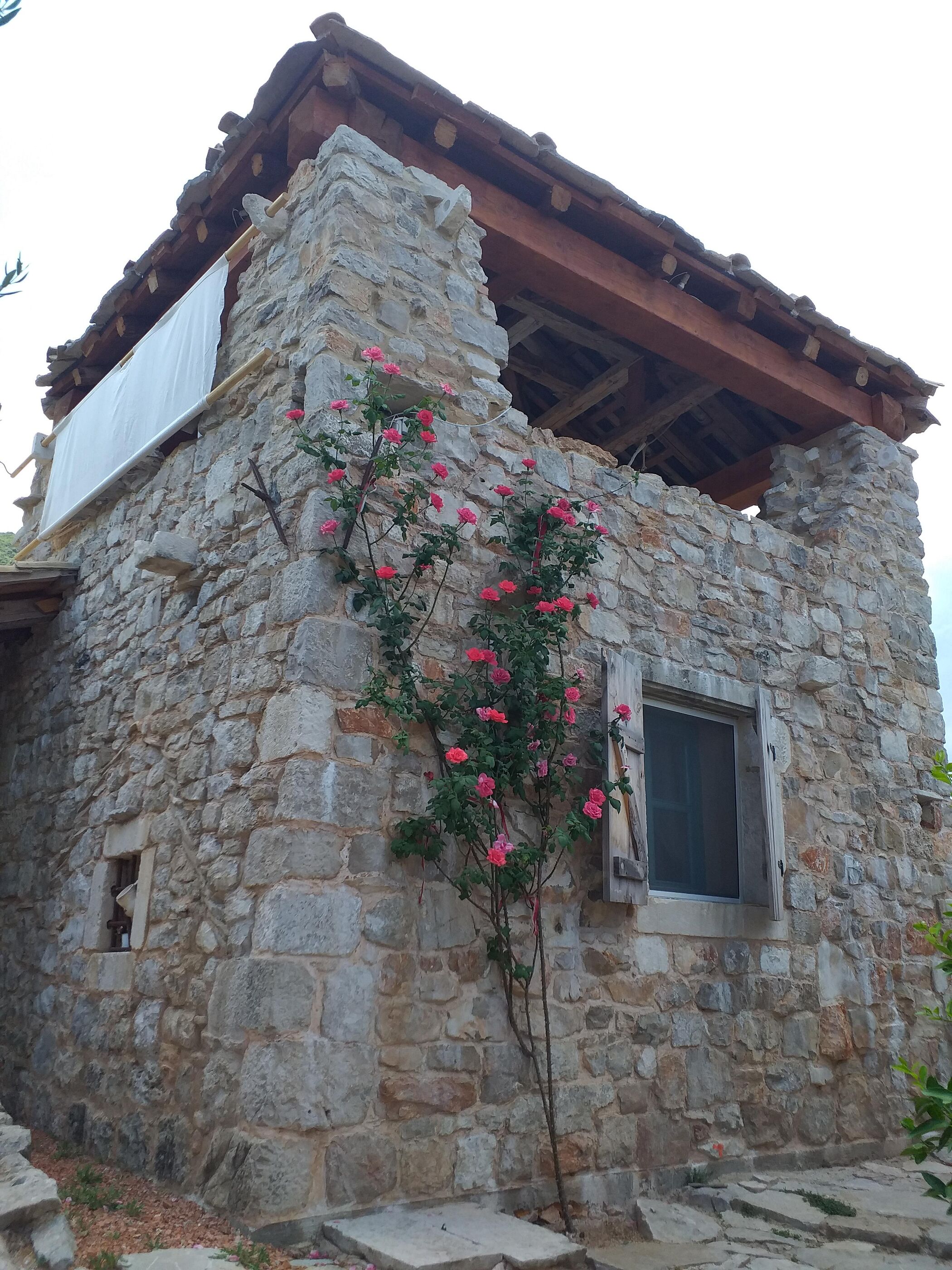 House Lavanda 16662-K1