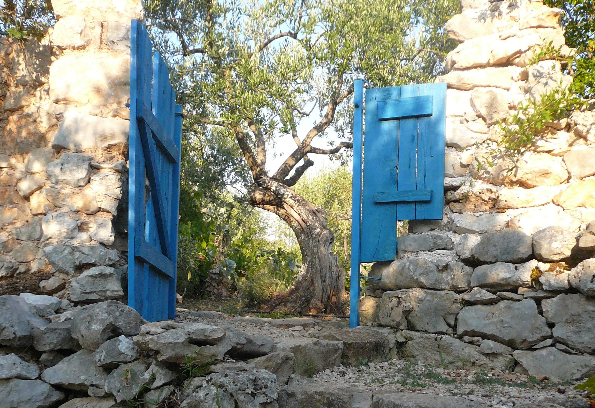 House Lavanda 16662-K1