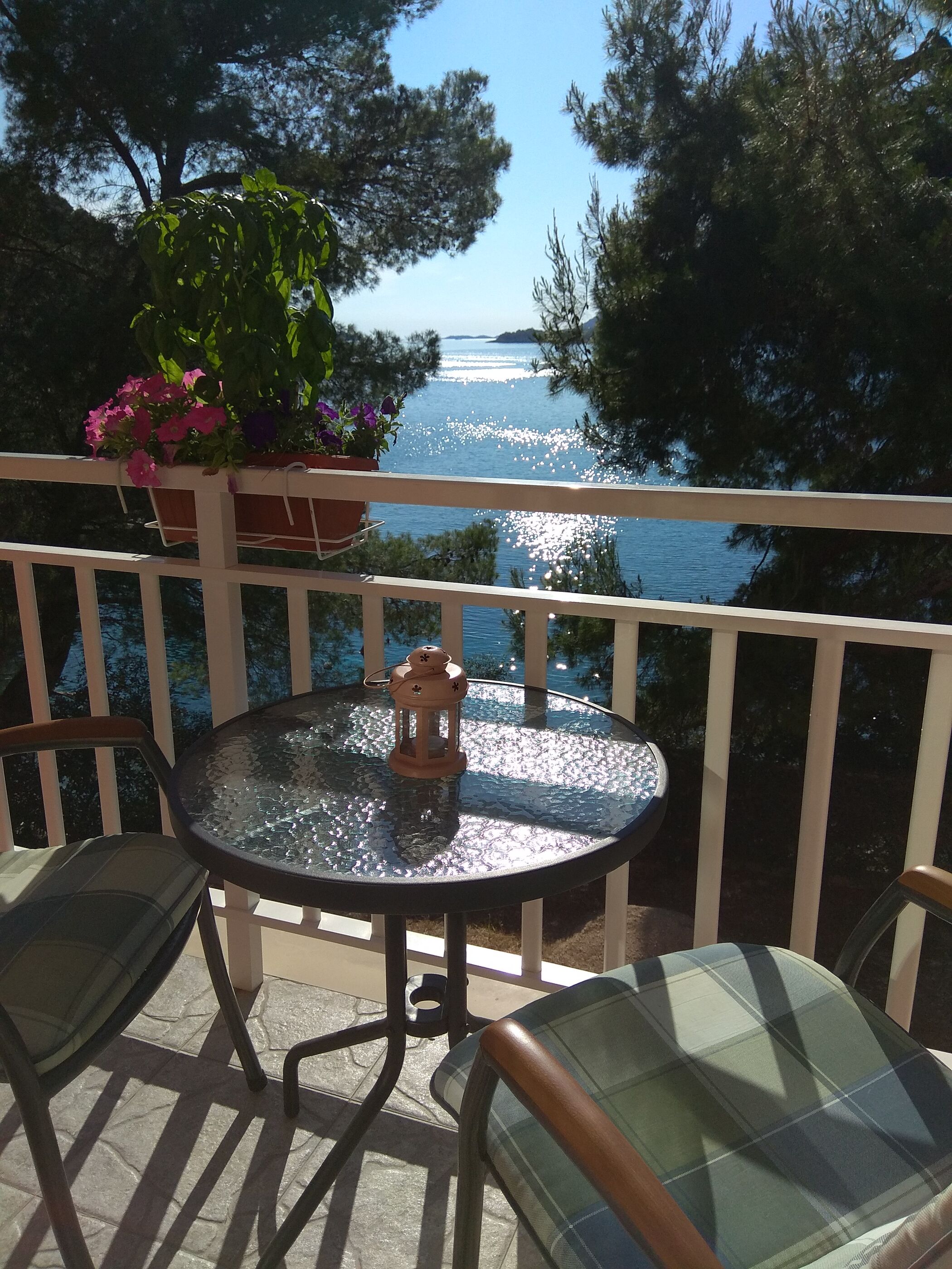 Apartments Dalibor 52581-A1