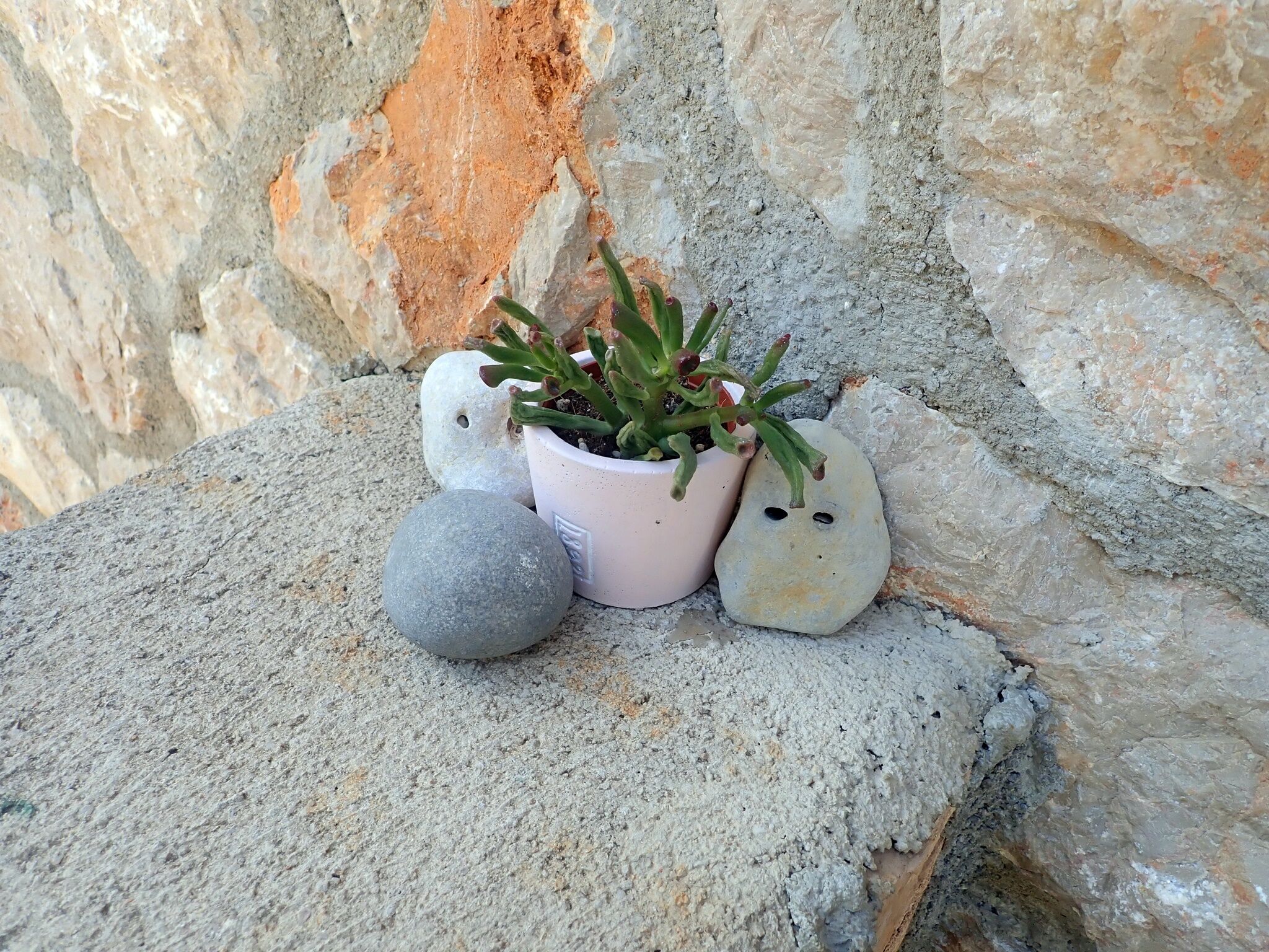 Photo of Apartment MARETA