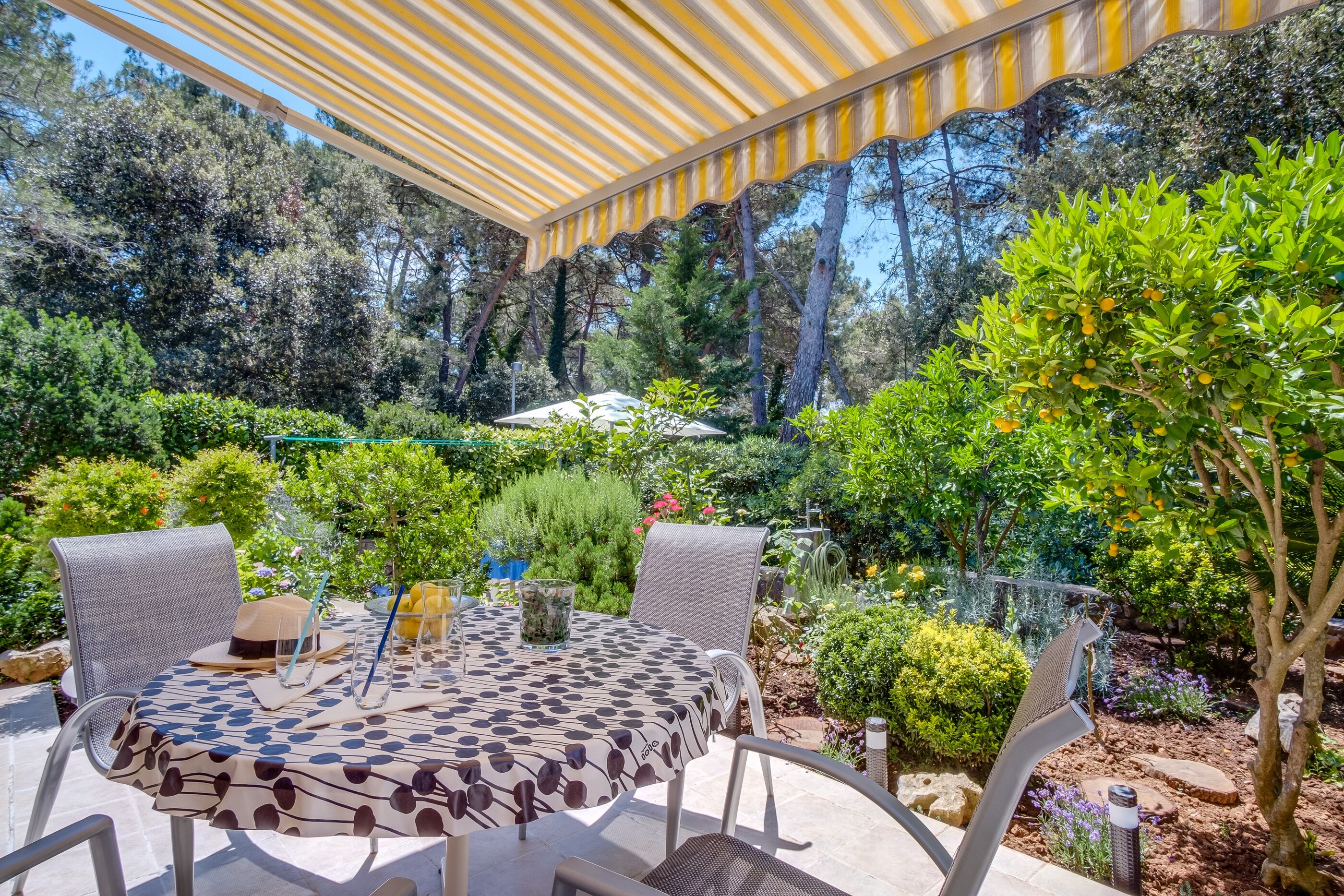 Apartment Adri 17511-A1
