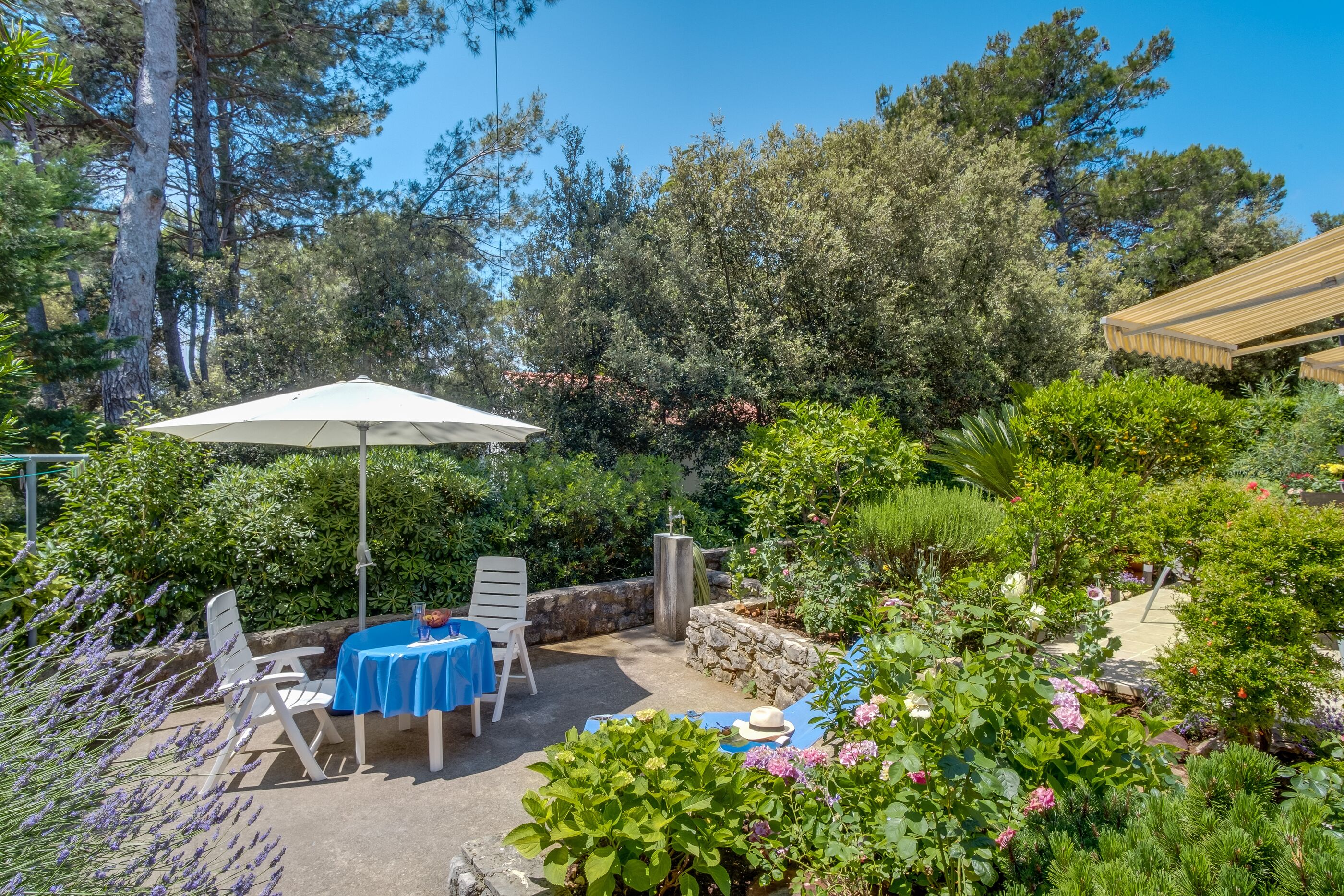Apartment Adri 17511-A1