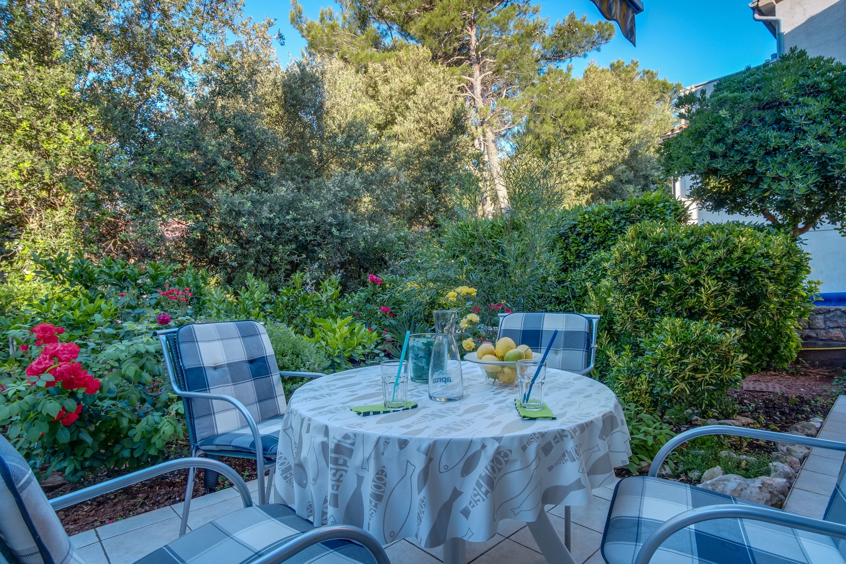 Apartment Adri 17511-A2