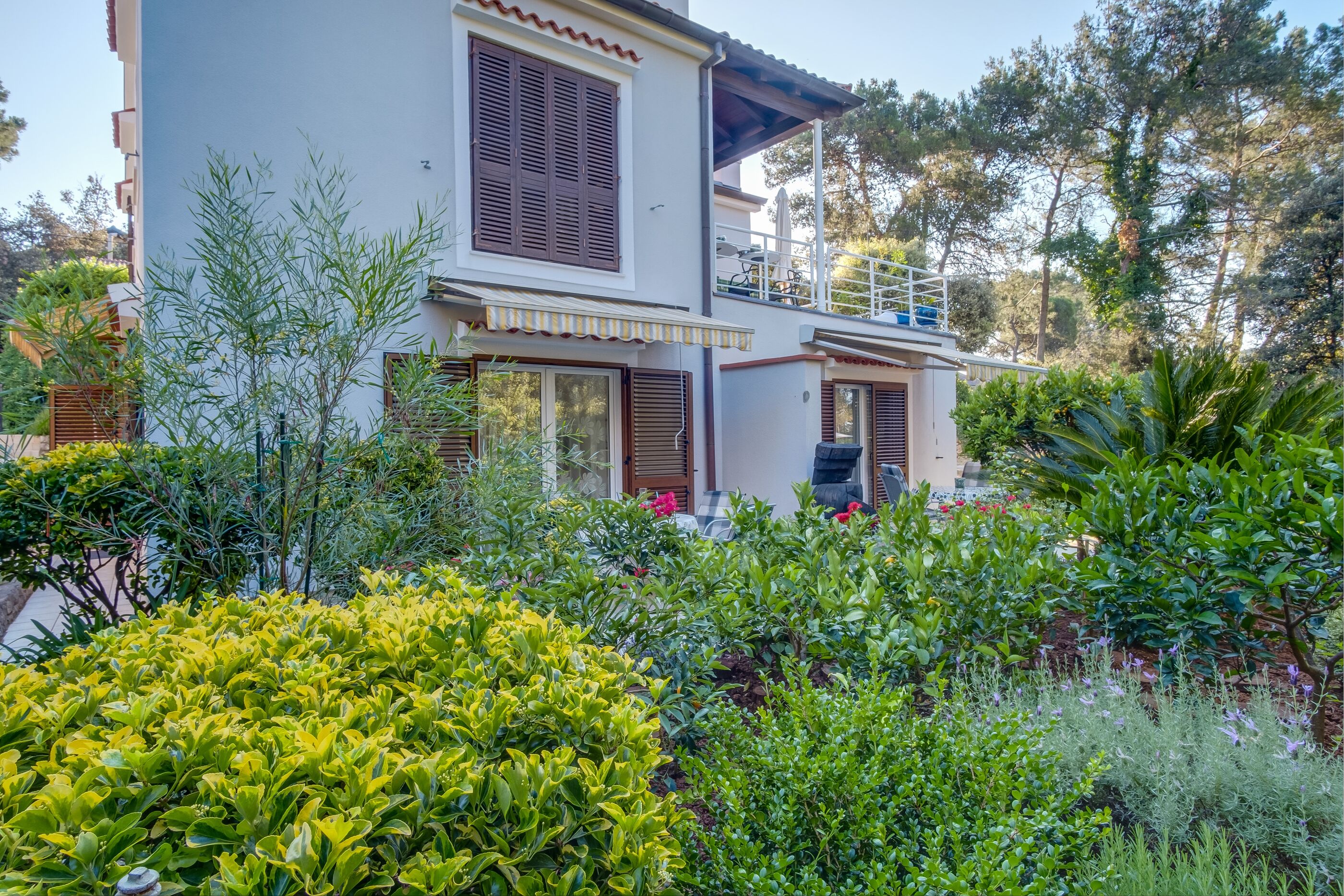 Apartment Adri 17511-A2