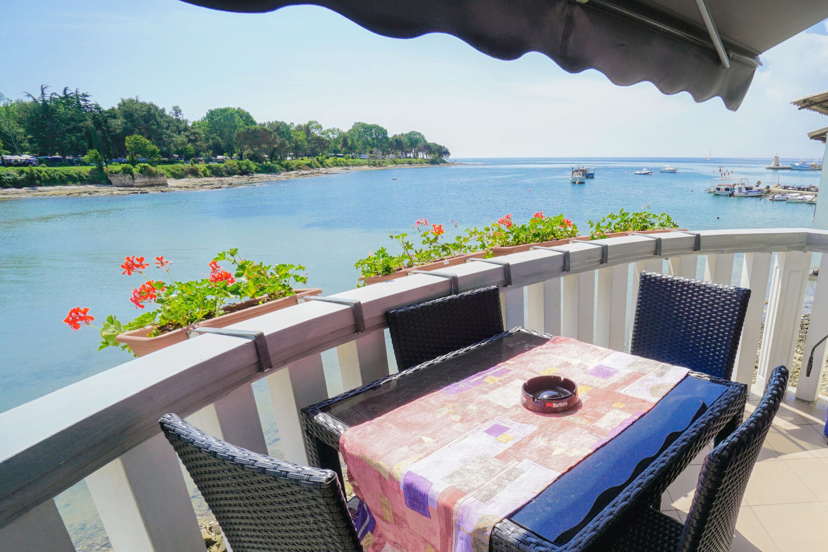 Apartment ASIMA 17481-A1
