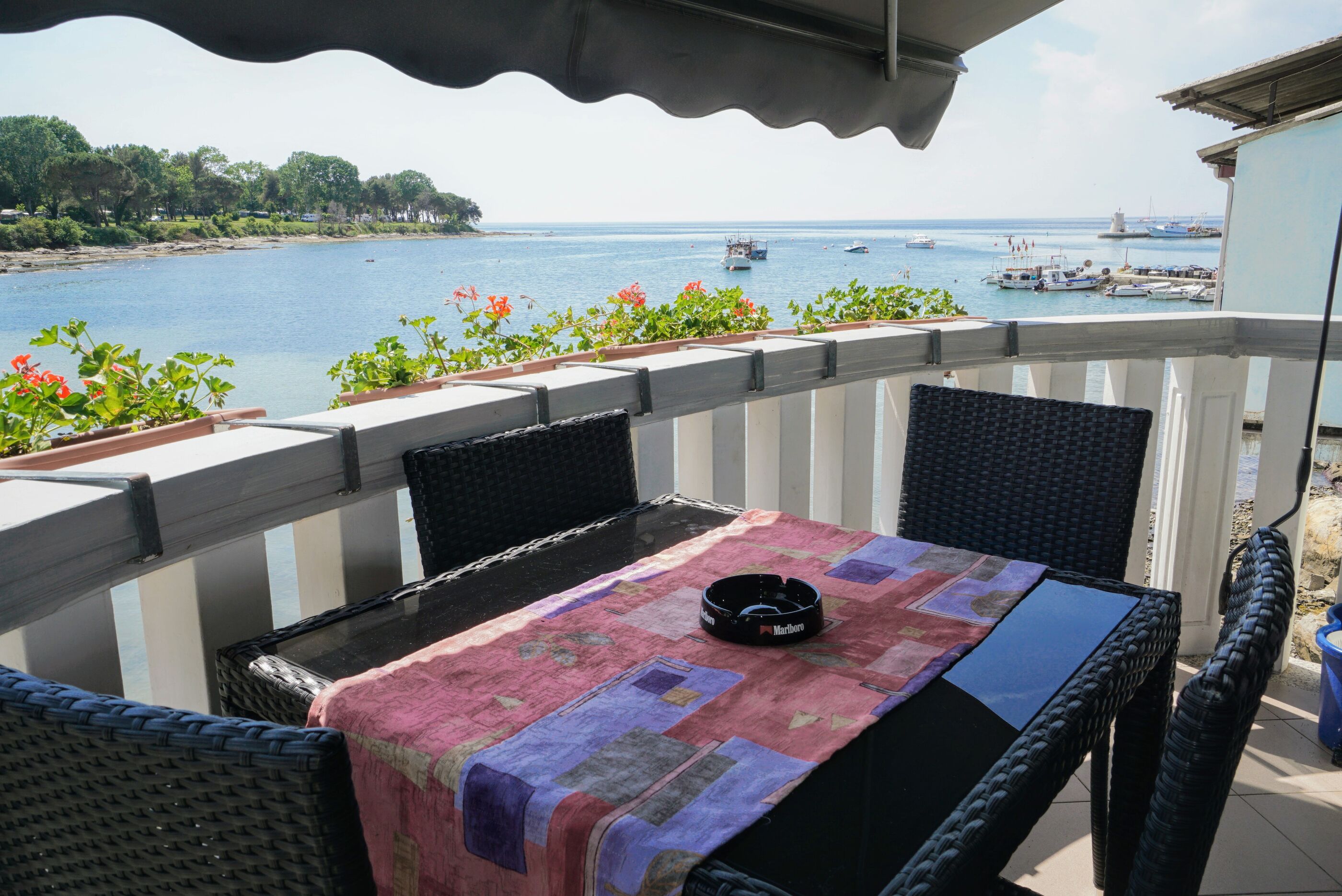 Apartment ASIMA 17481-A1