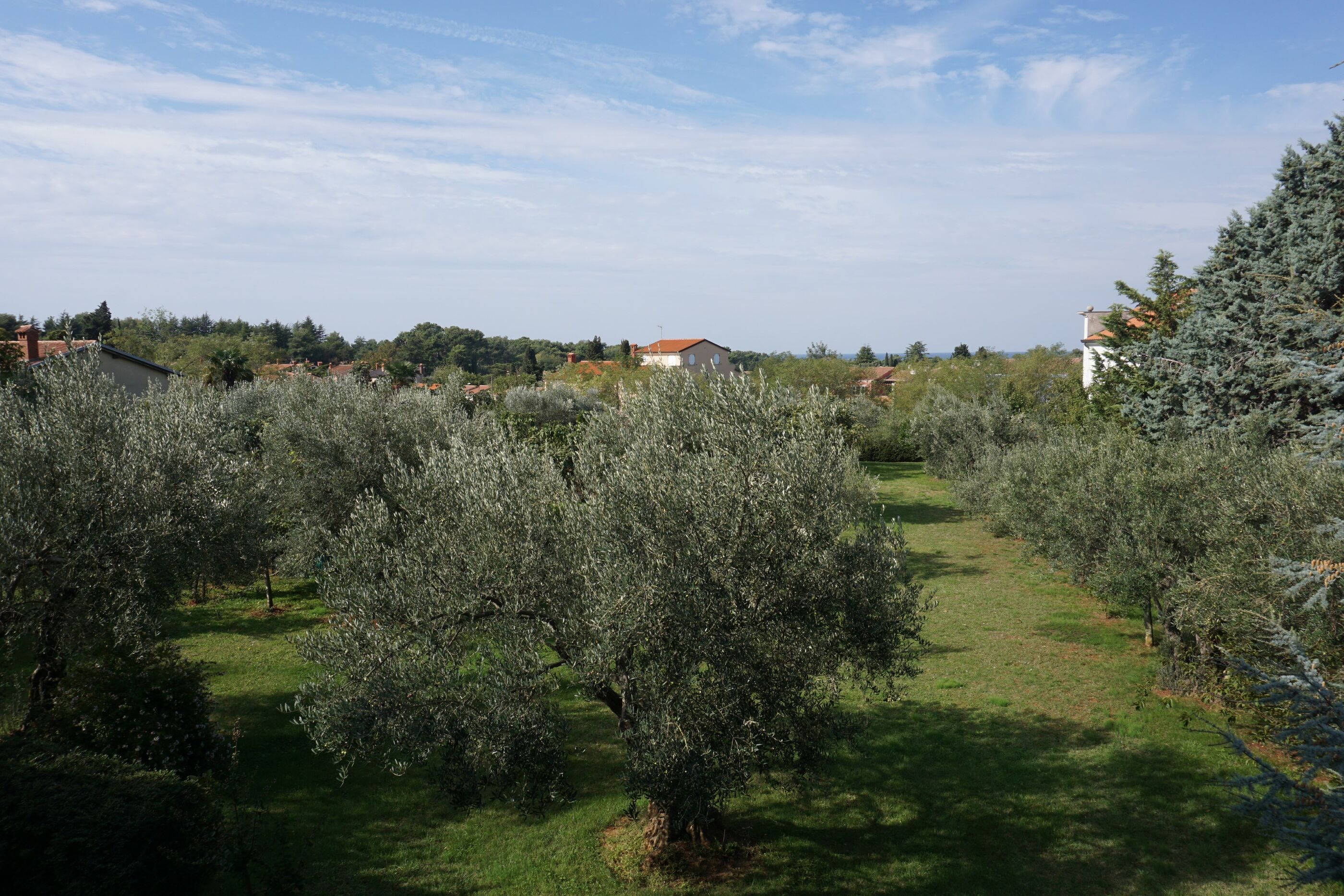 Apartment MARINA 77643-A1