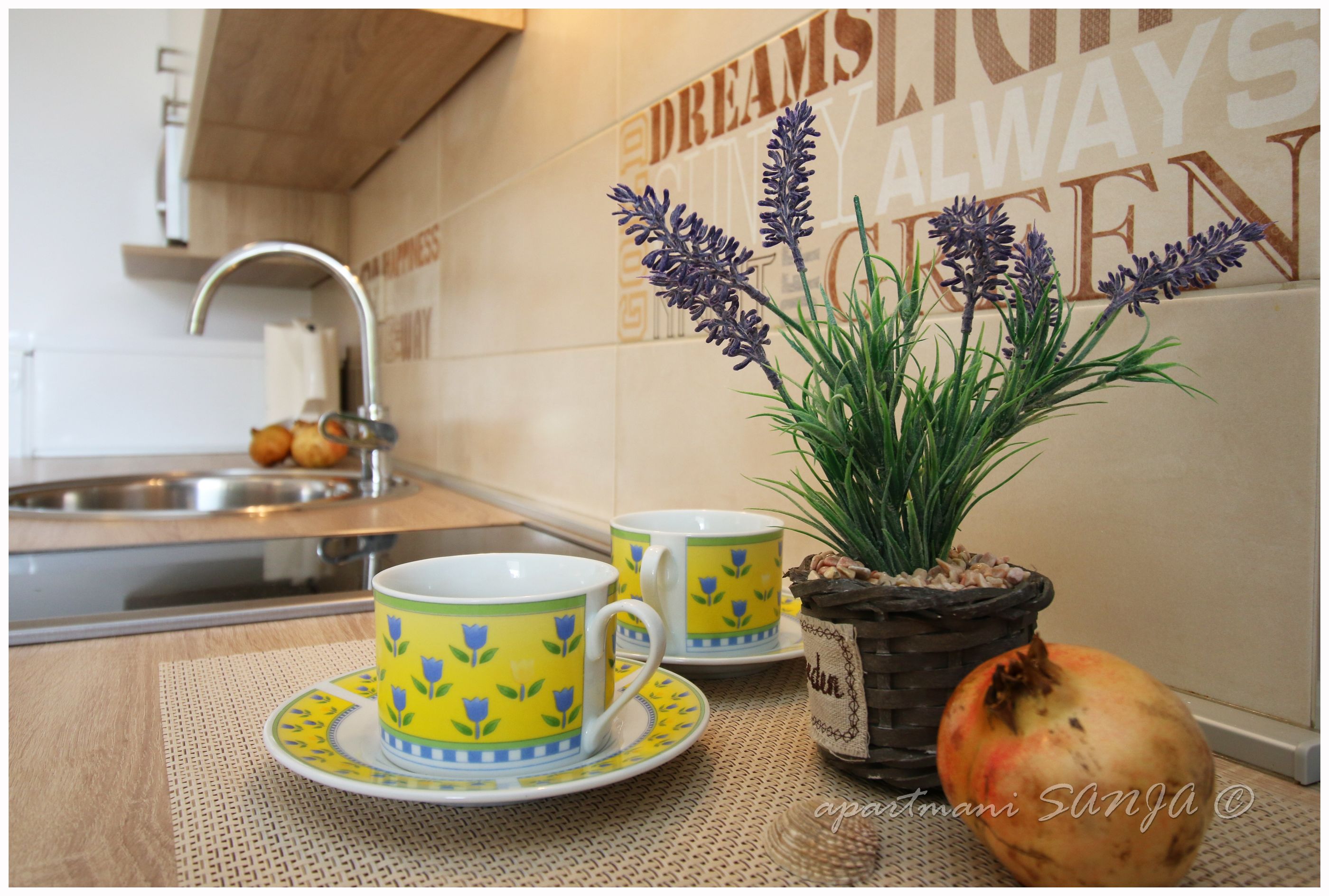 Apartments Sanja 40273-A3