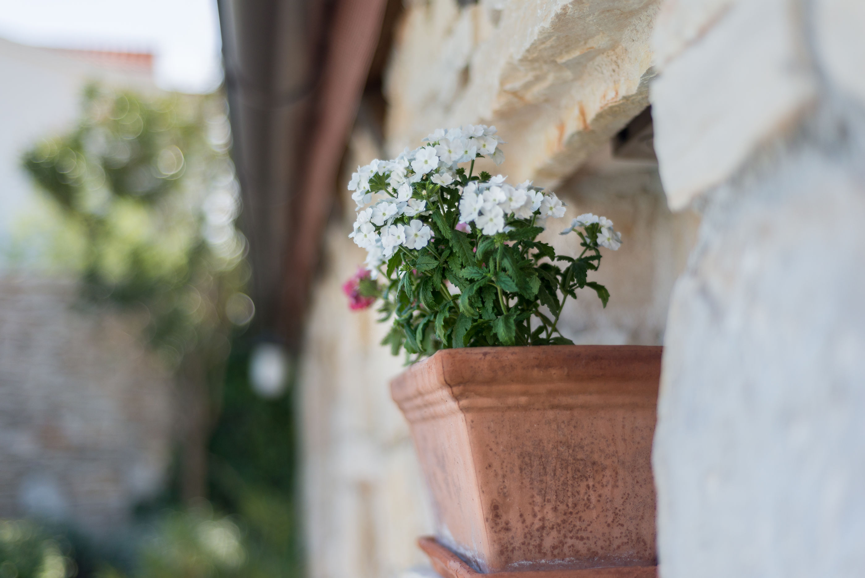 Apartments Villa Renata 77411-A1
