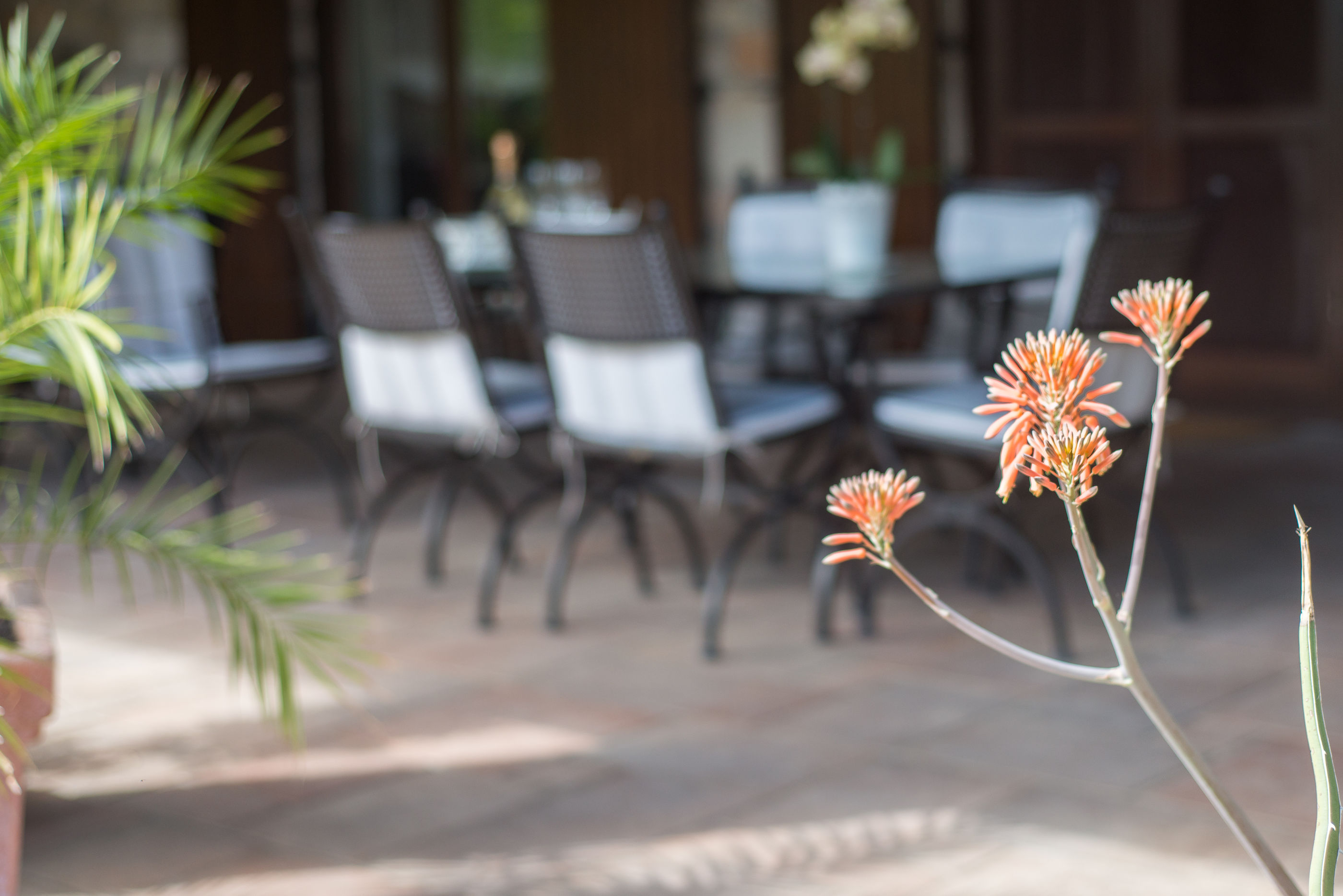 Apartments Villa Renata 77411-A1