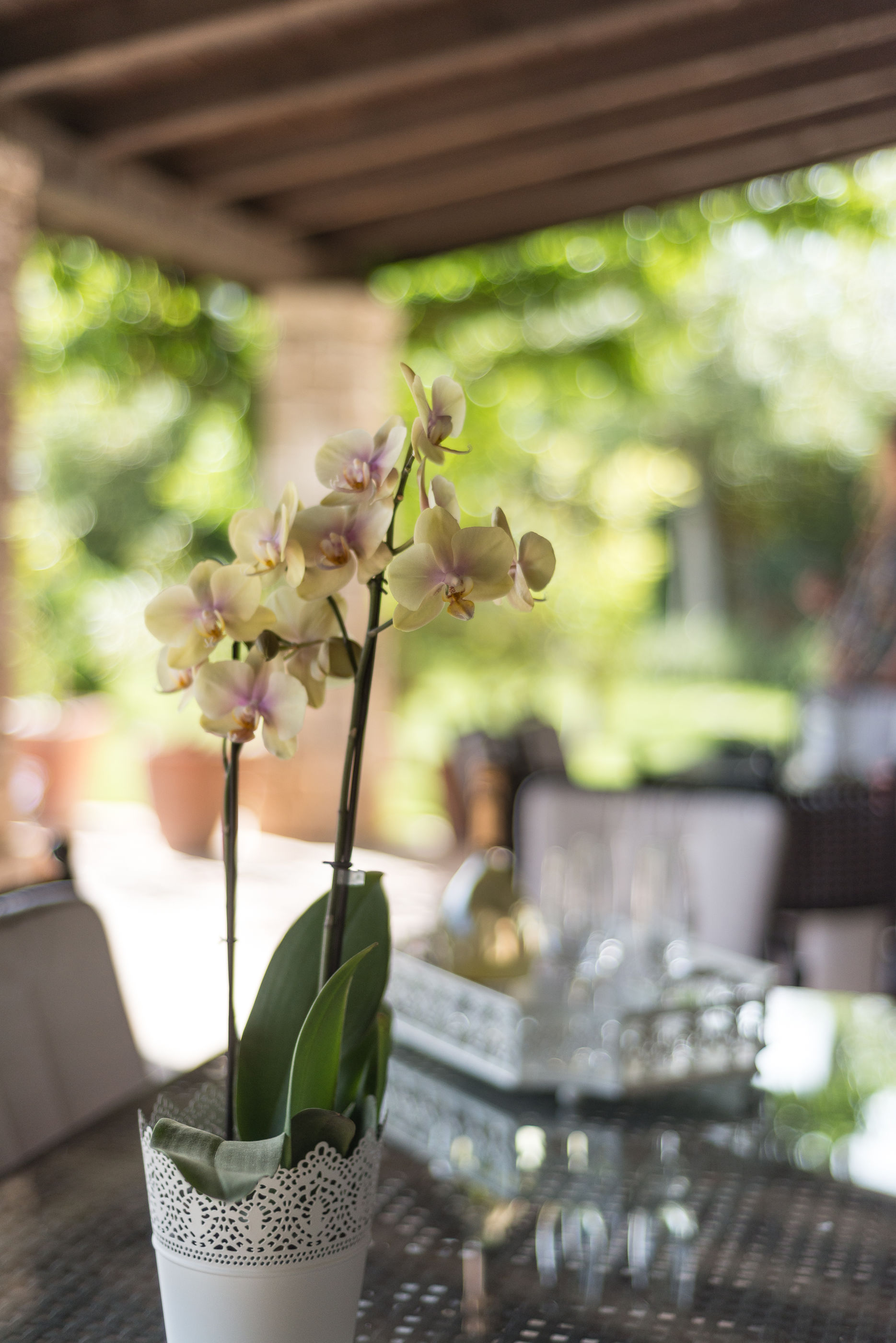 Apartments Villa Renata 77411-A1