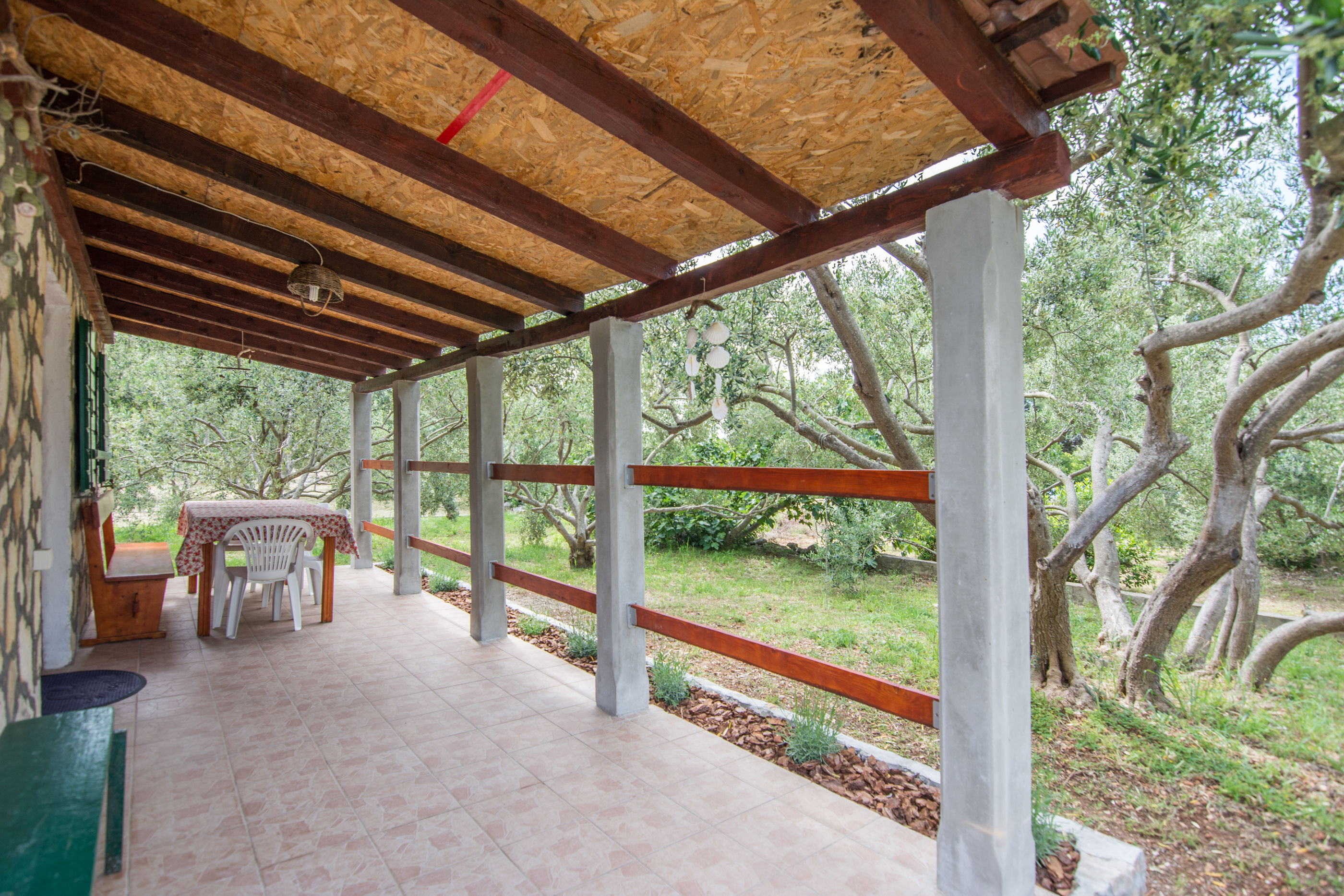 House Olive Tree 14641-K1