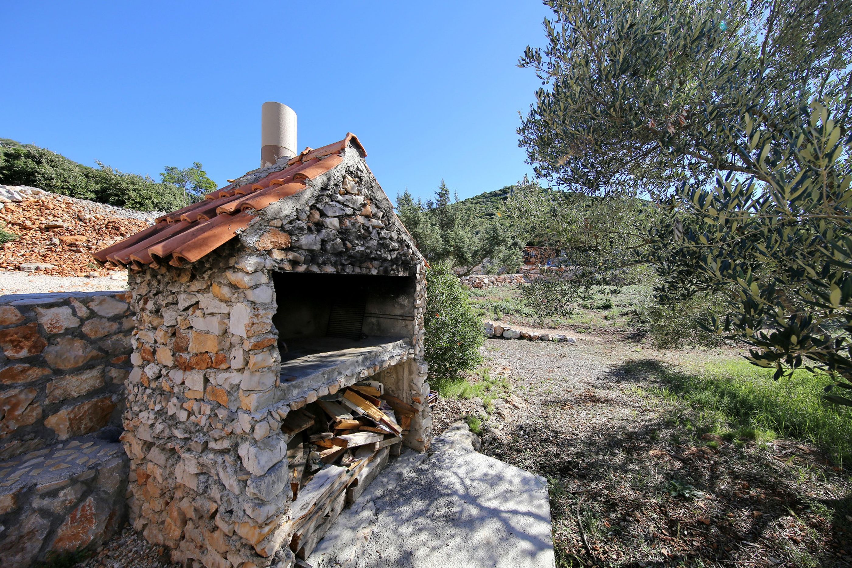 House Olive Tree 14641-K1