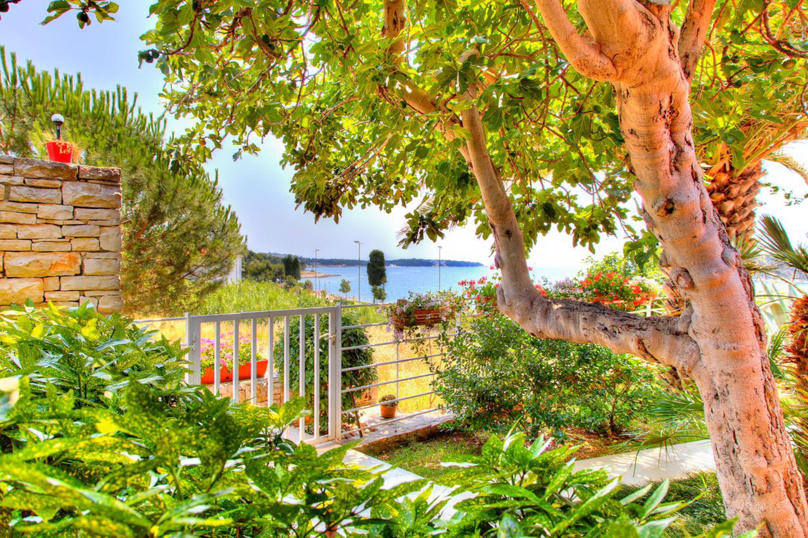 Apartments Petra near beach 70851-A2