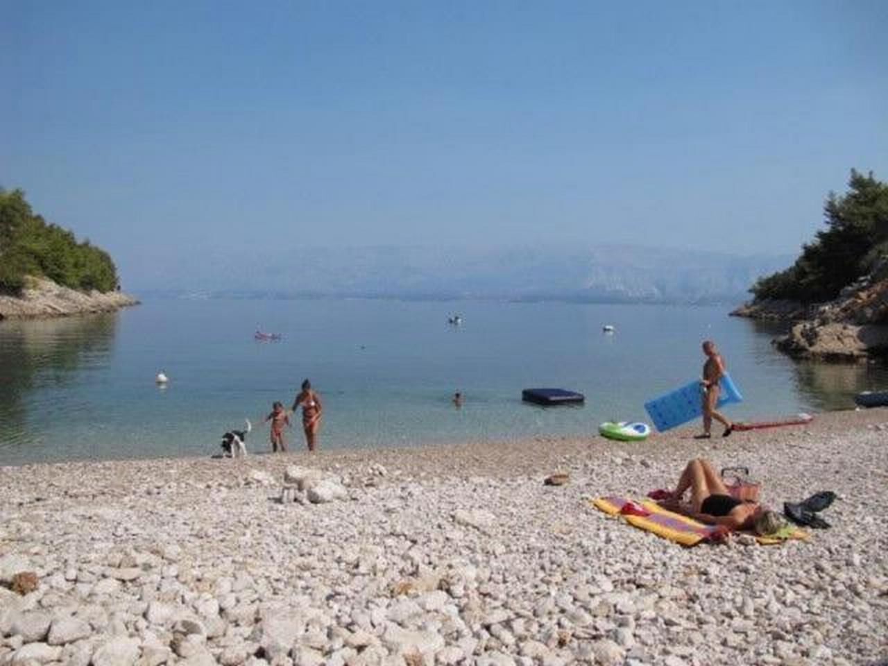 Apartments Jelena 40601-A1