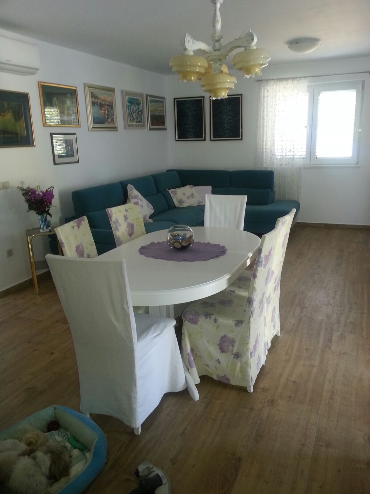 Apartments Lanterna 77831-A1