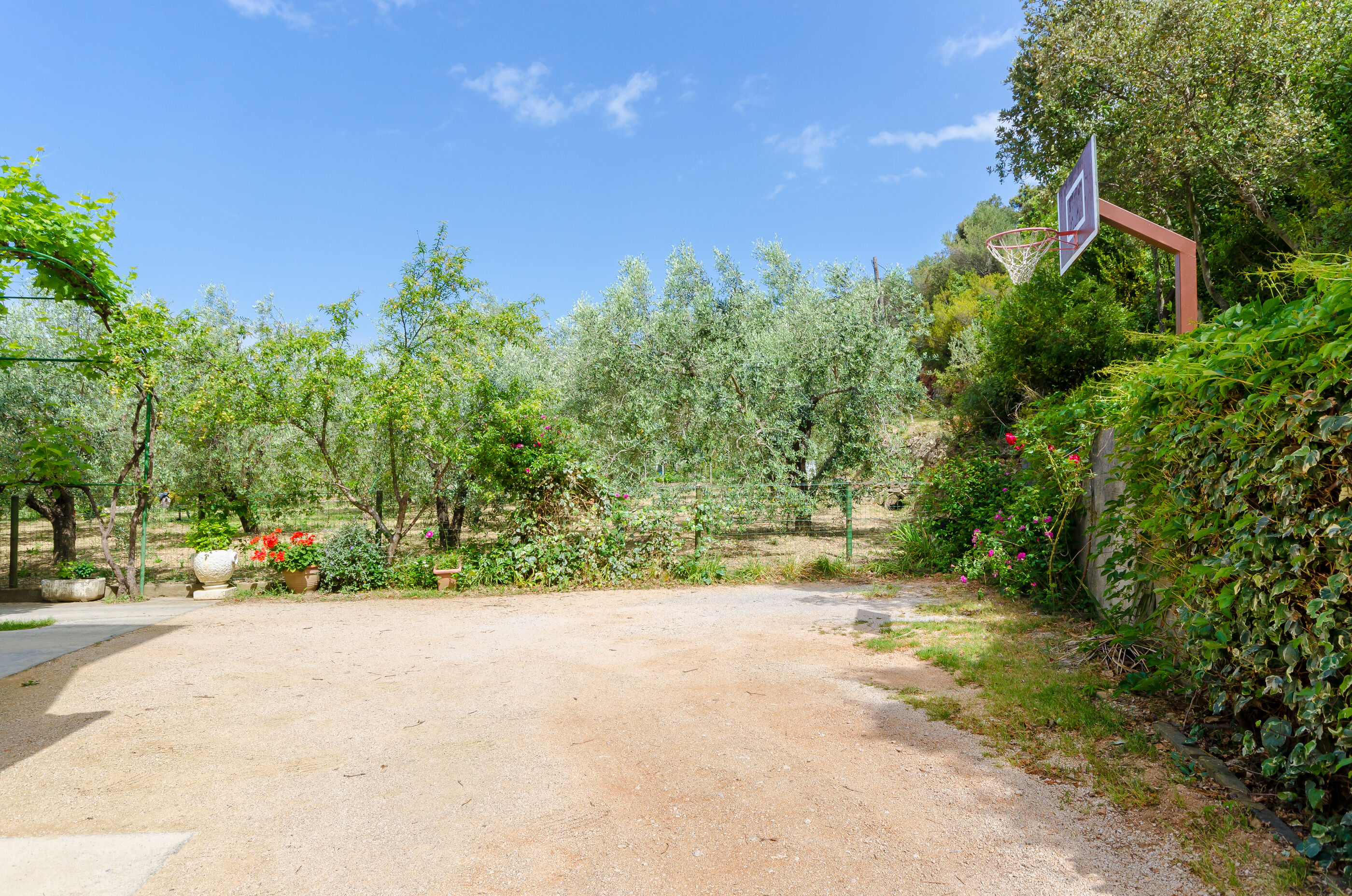 Photo of Apartment Marija