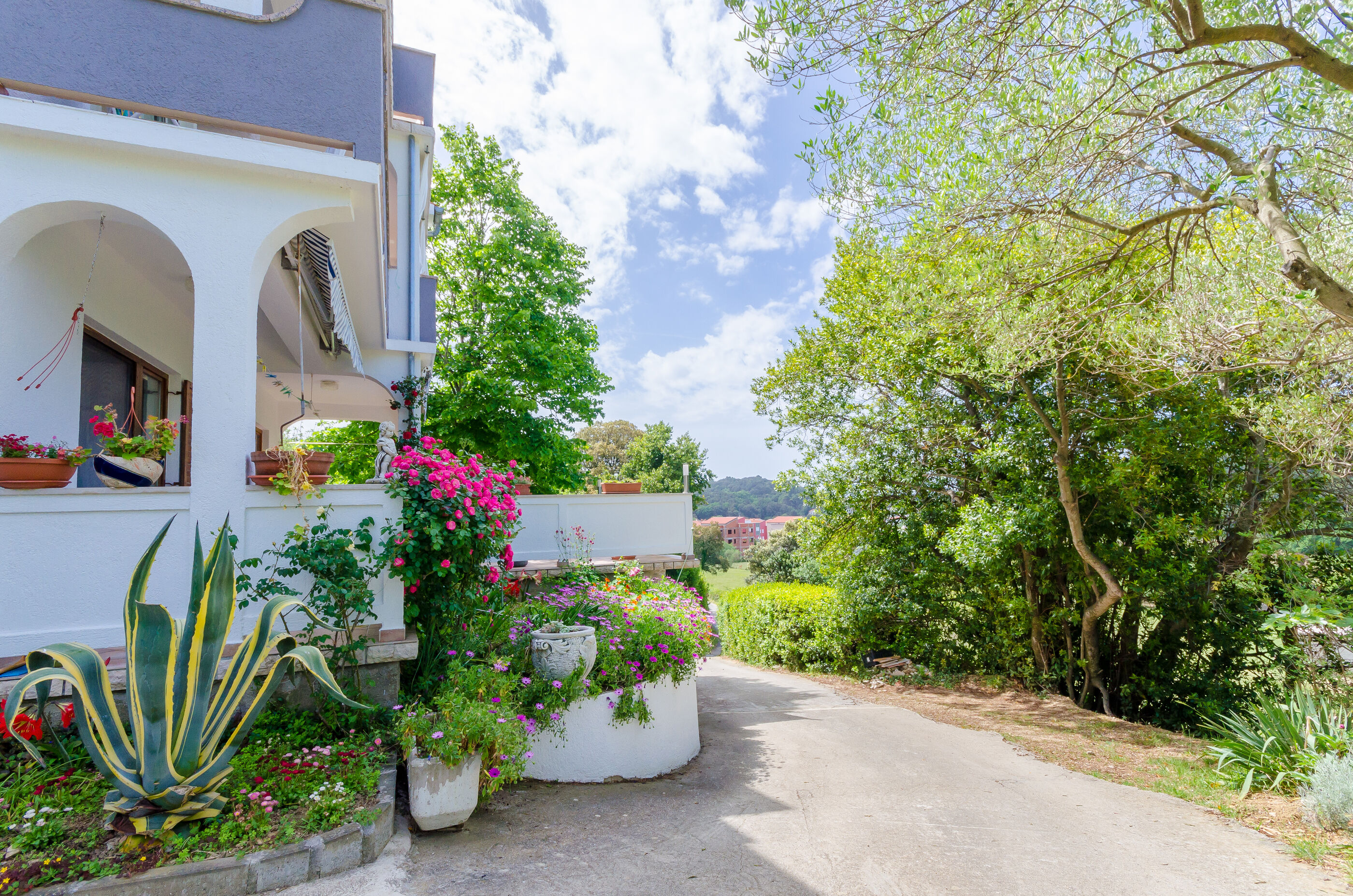 Photo of Apartment Marija