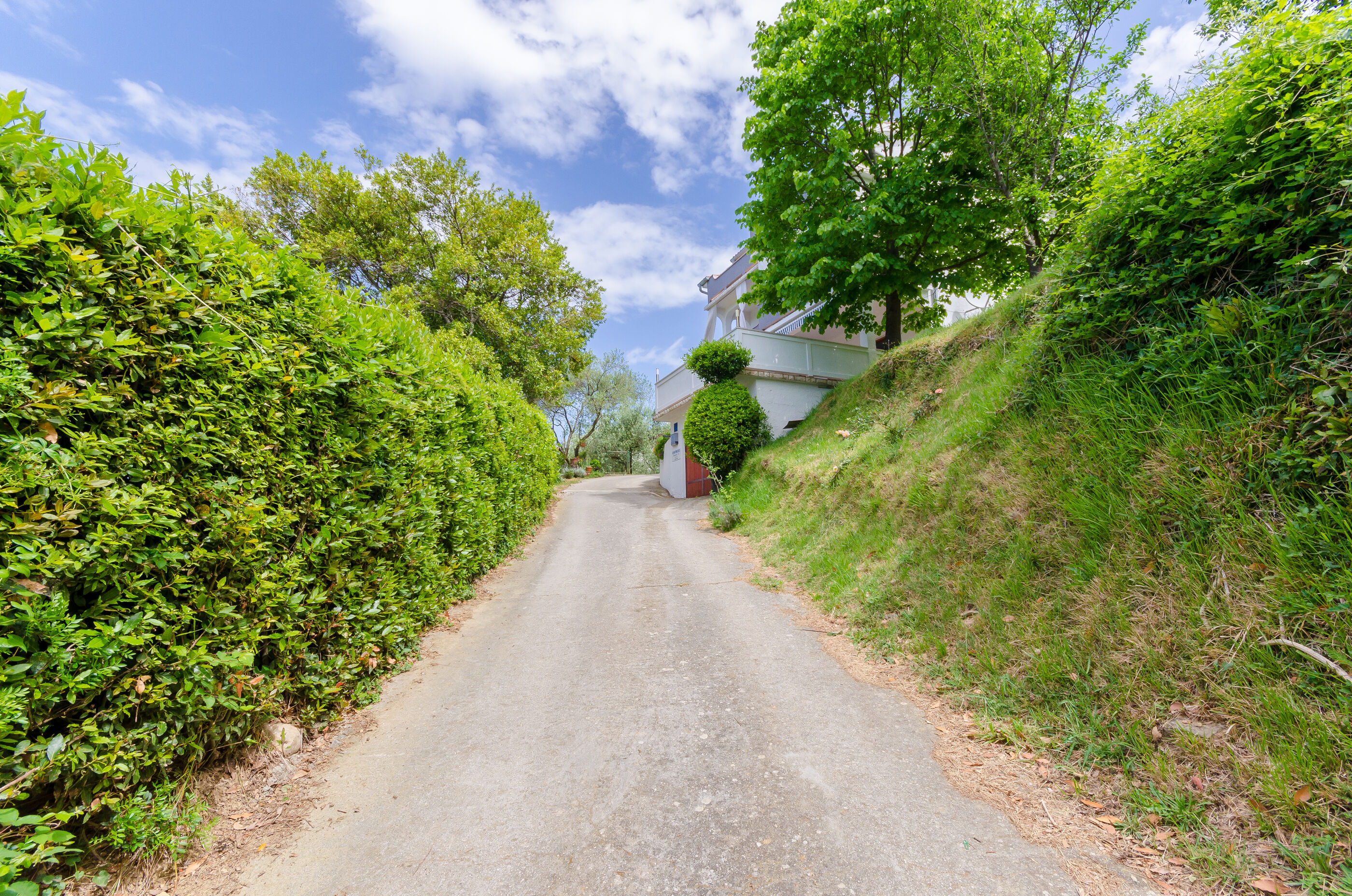 Photo of Apartment Marija