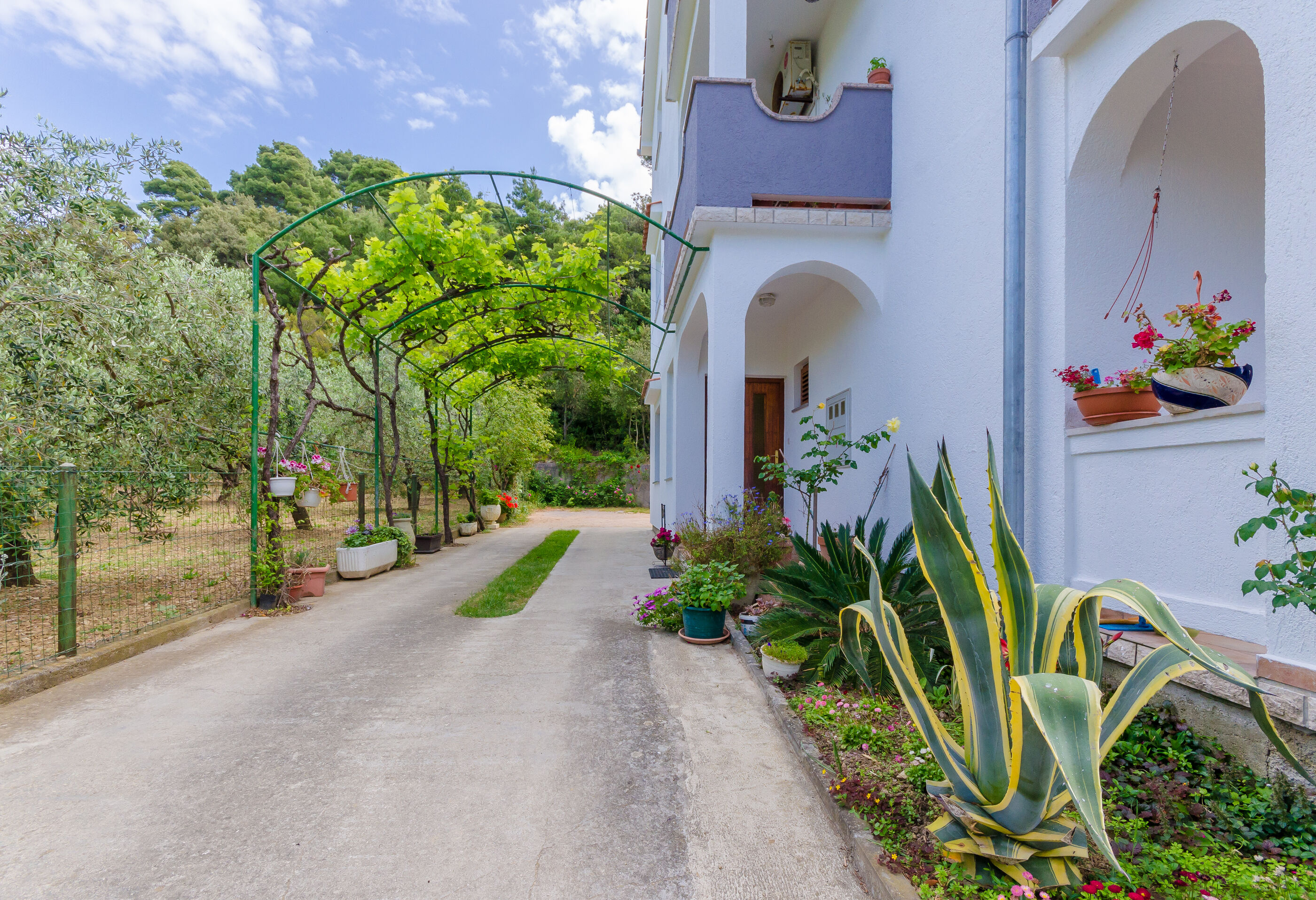 Photo of Apartment Marija