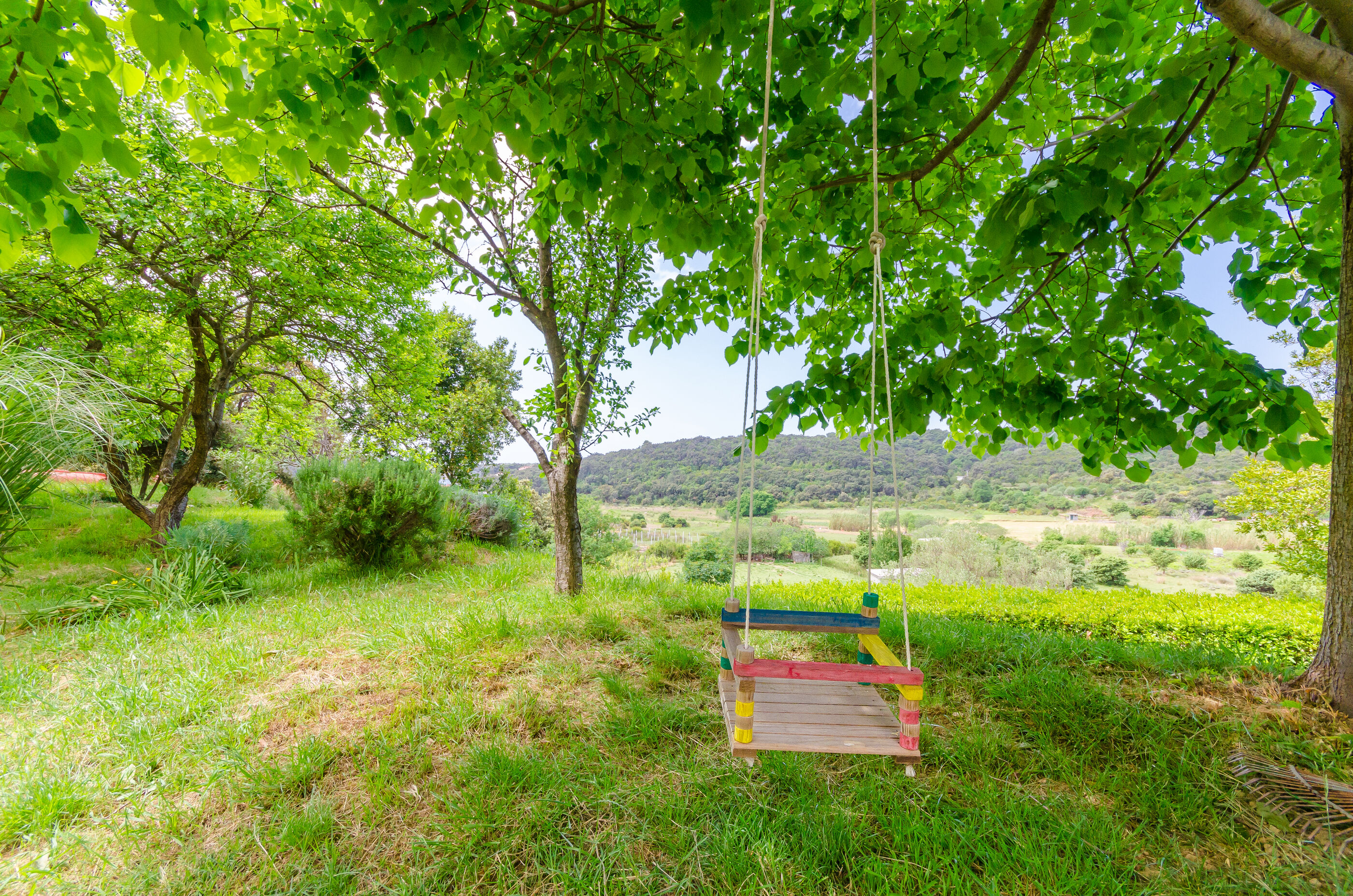 Photo of Apartment Marija