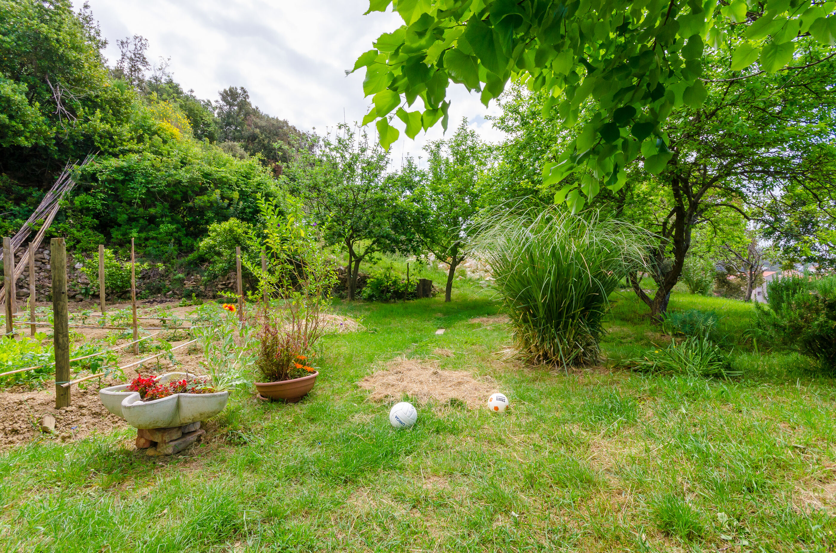 Apartment Marija 87001-A1