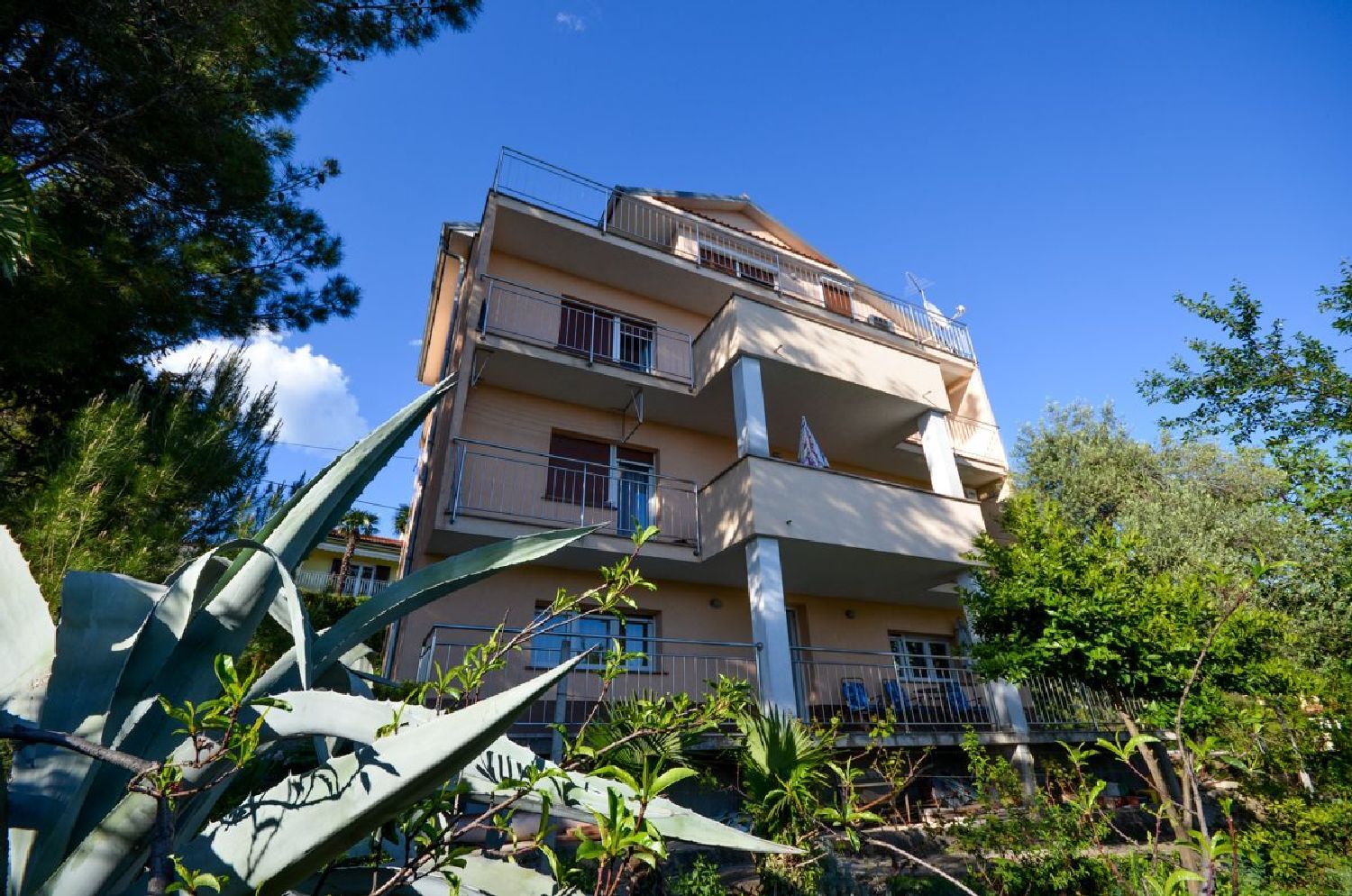 Apartman Višnja A1