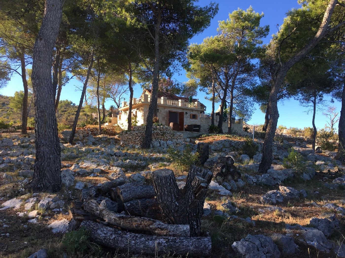 House Vesna Kupinova 46801-K1