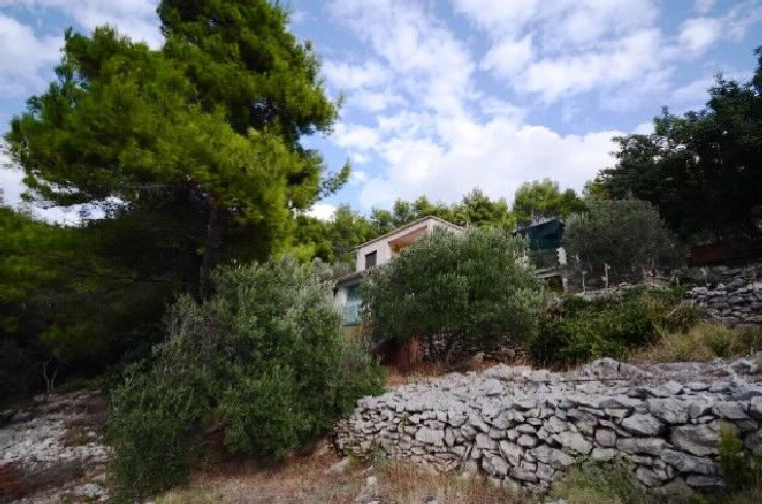 Apartment Dijana 51251-A1