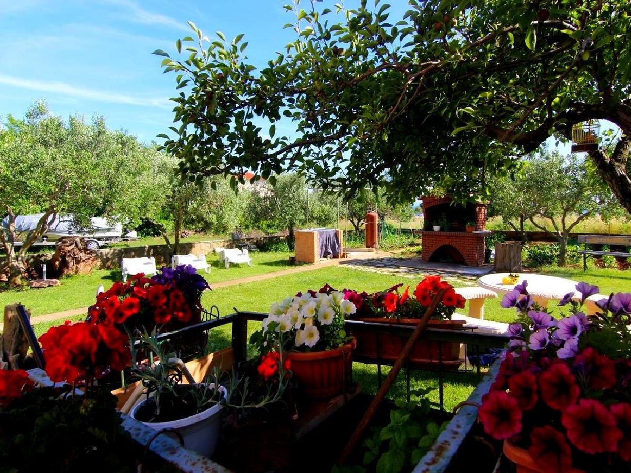 Apartments Štefa 51581-A2
