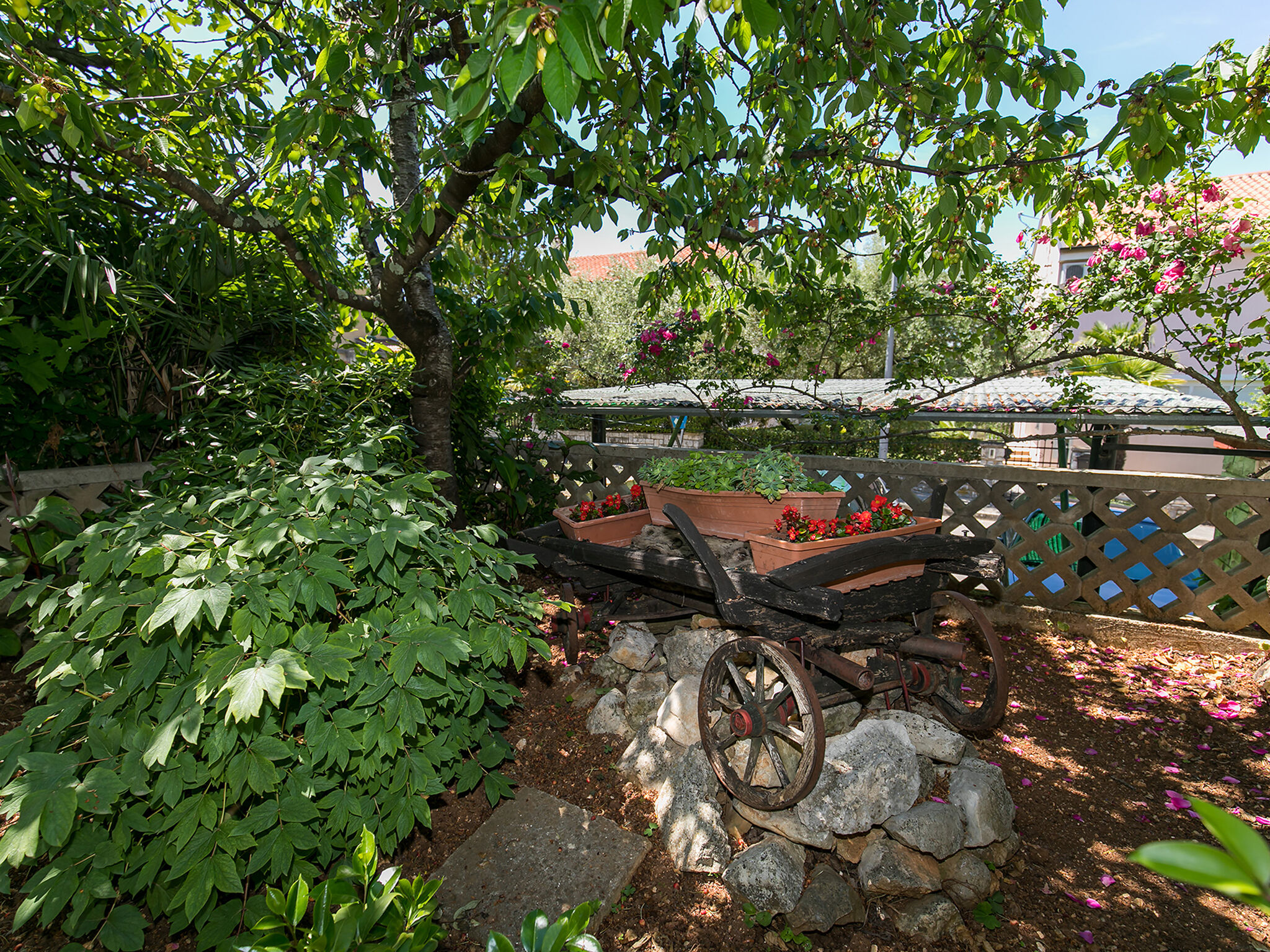 Apartment Loredana 72811-A1