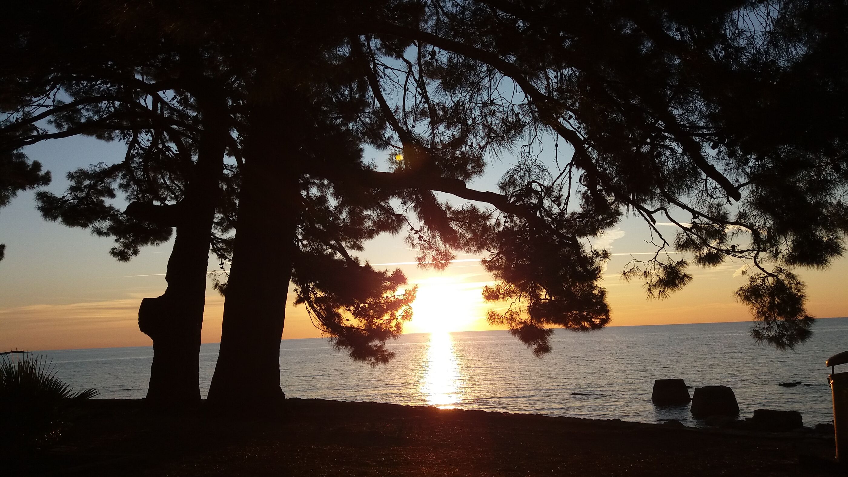 Photo of Apartment Loredana