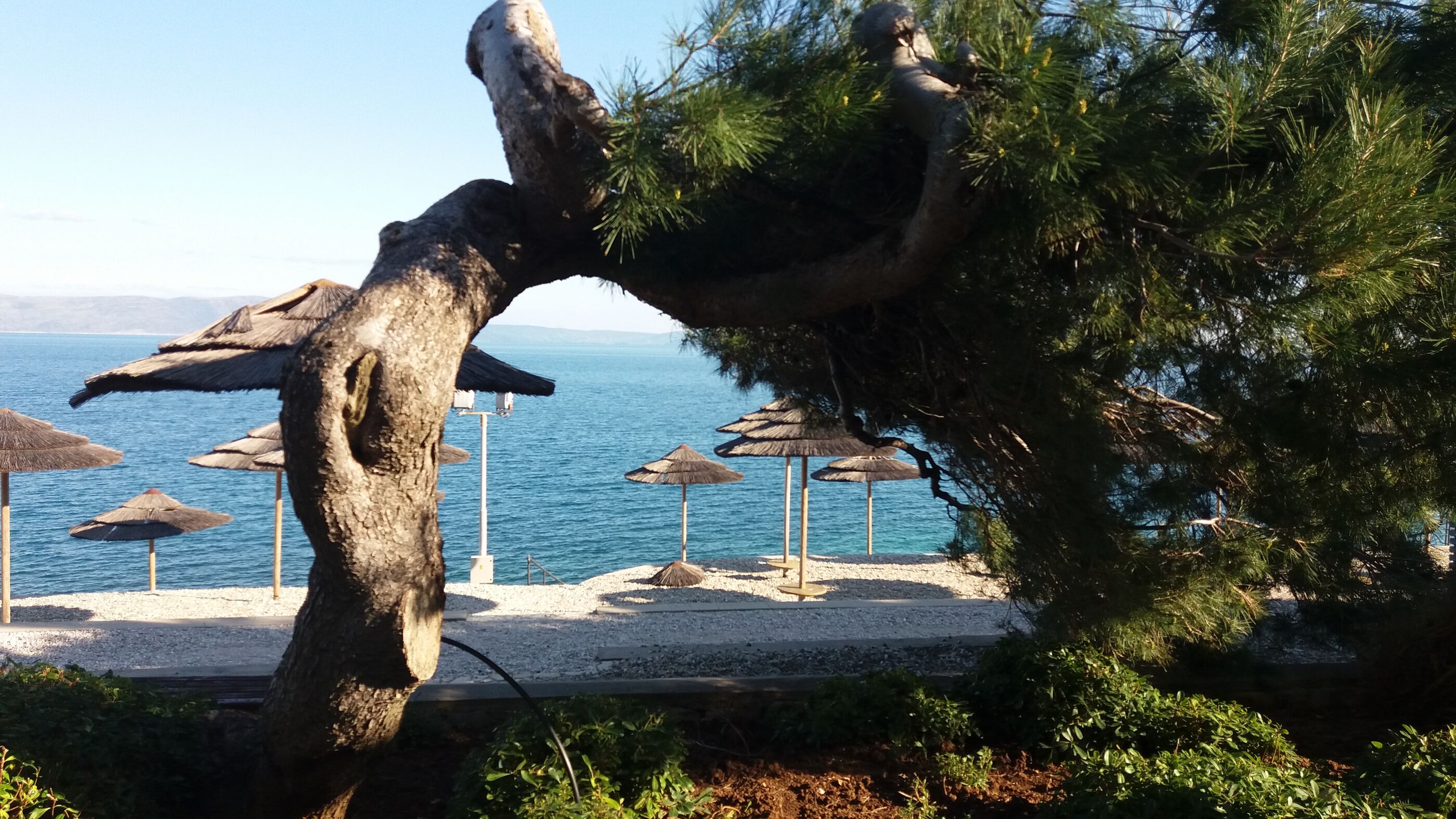 Photo of Apartment Loredana