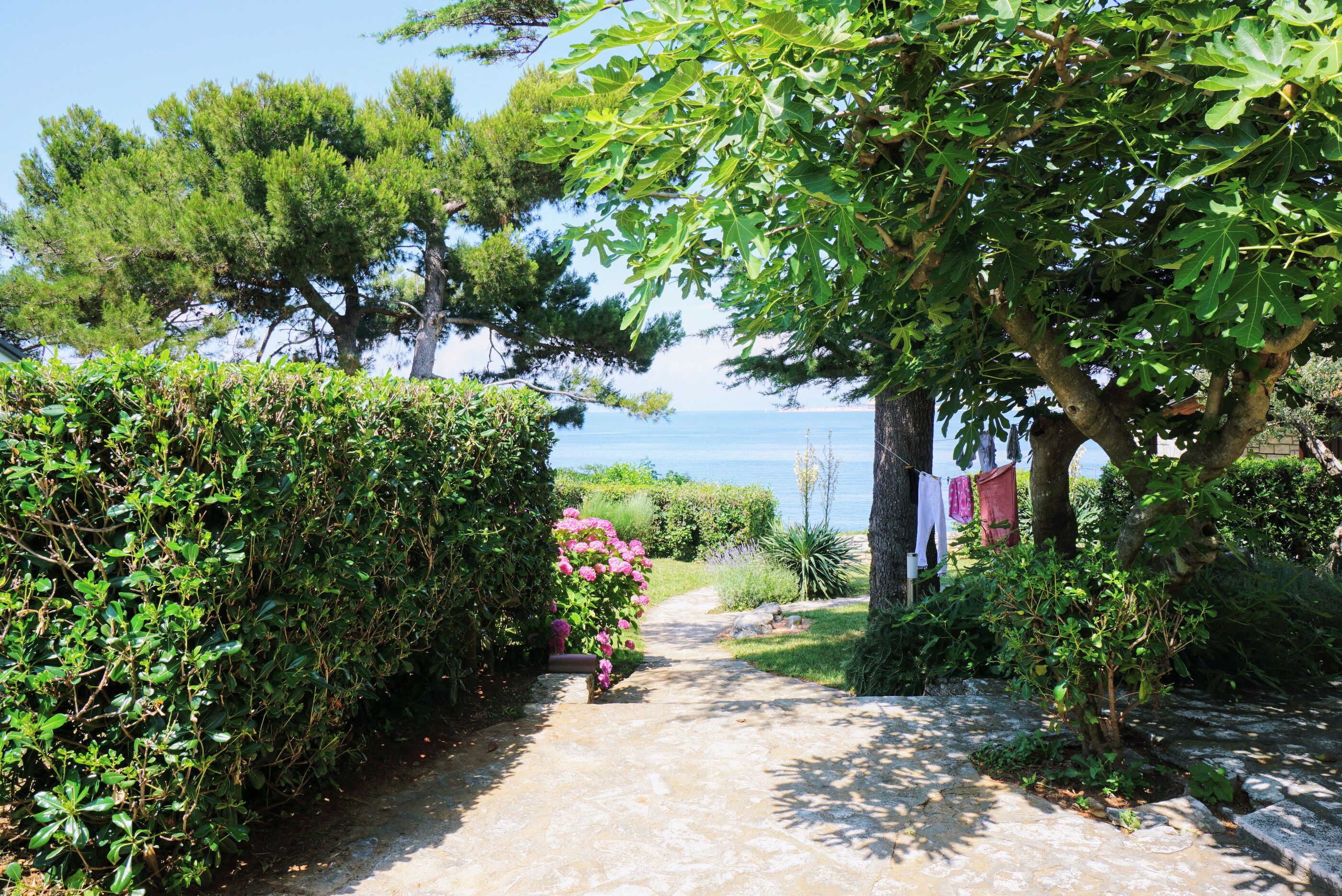 Apartments Villa Ana Monterosso 77647-K1