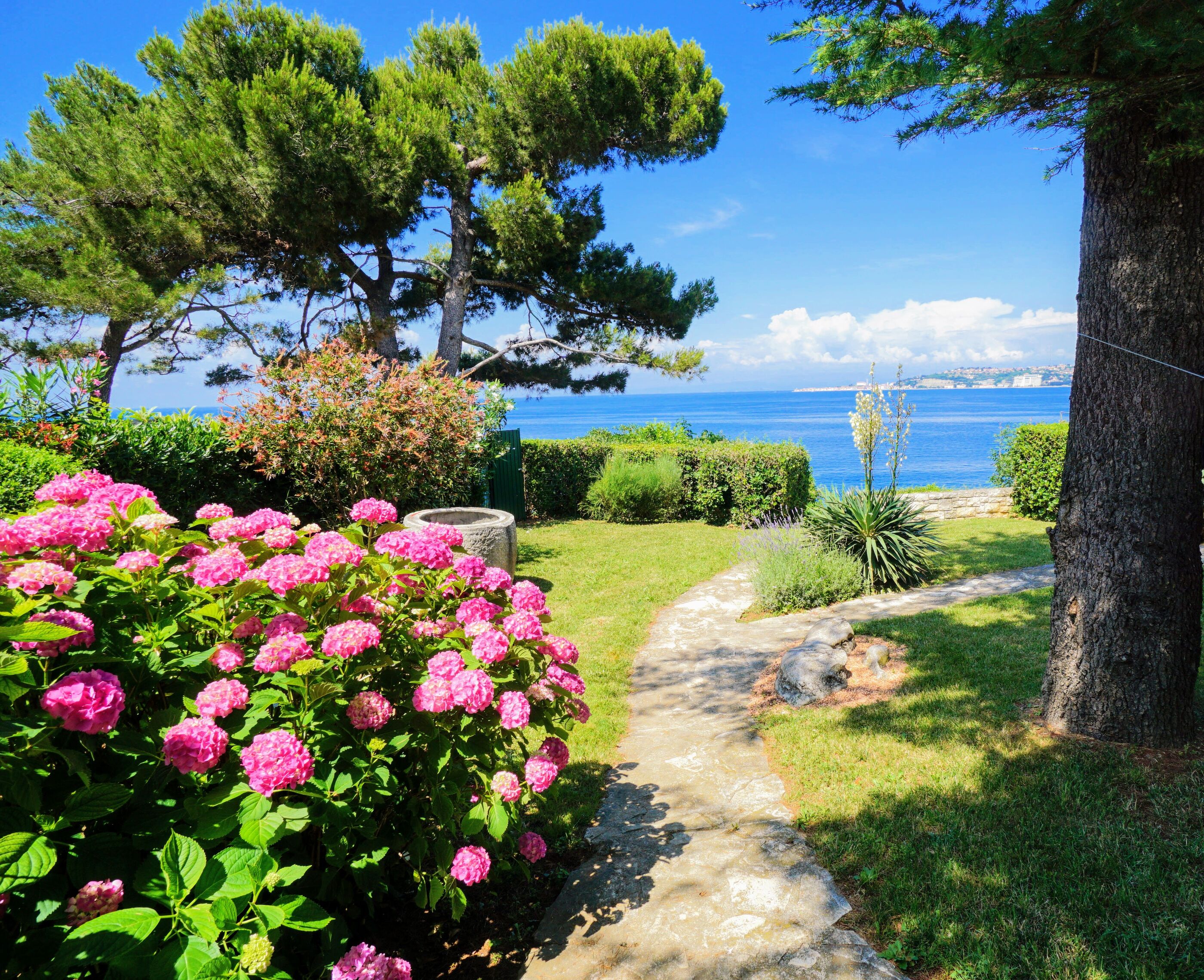 Apartments Villa Ana Monterosso 77647-K1