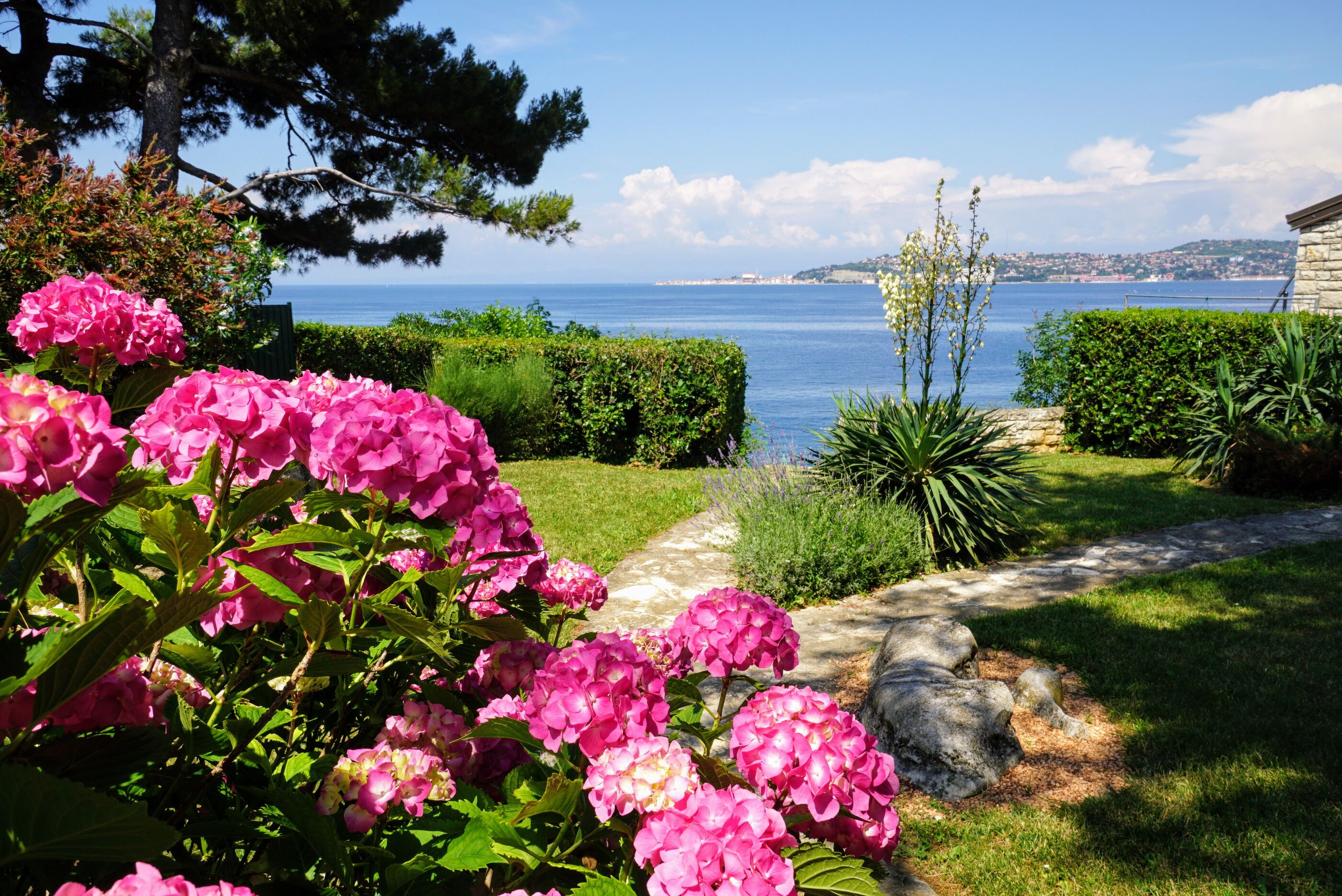 Apartments Villa Ana Monterosso 77647-K1