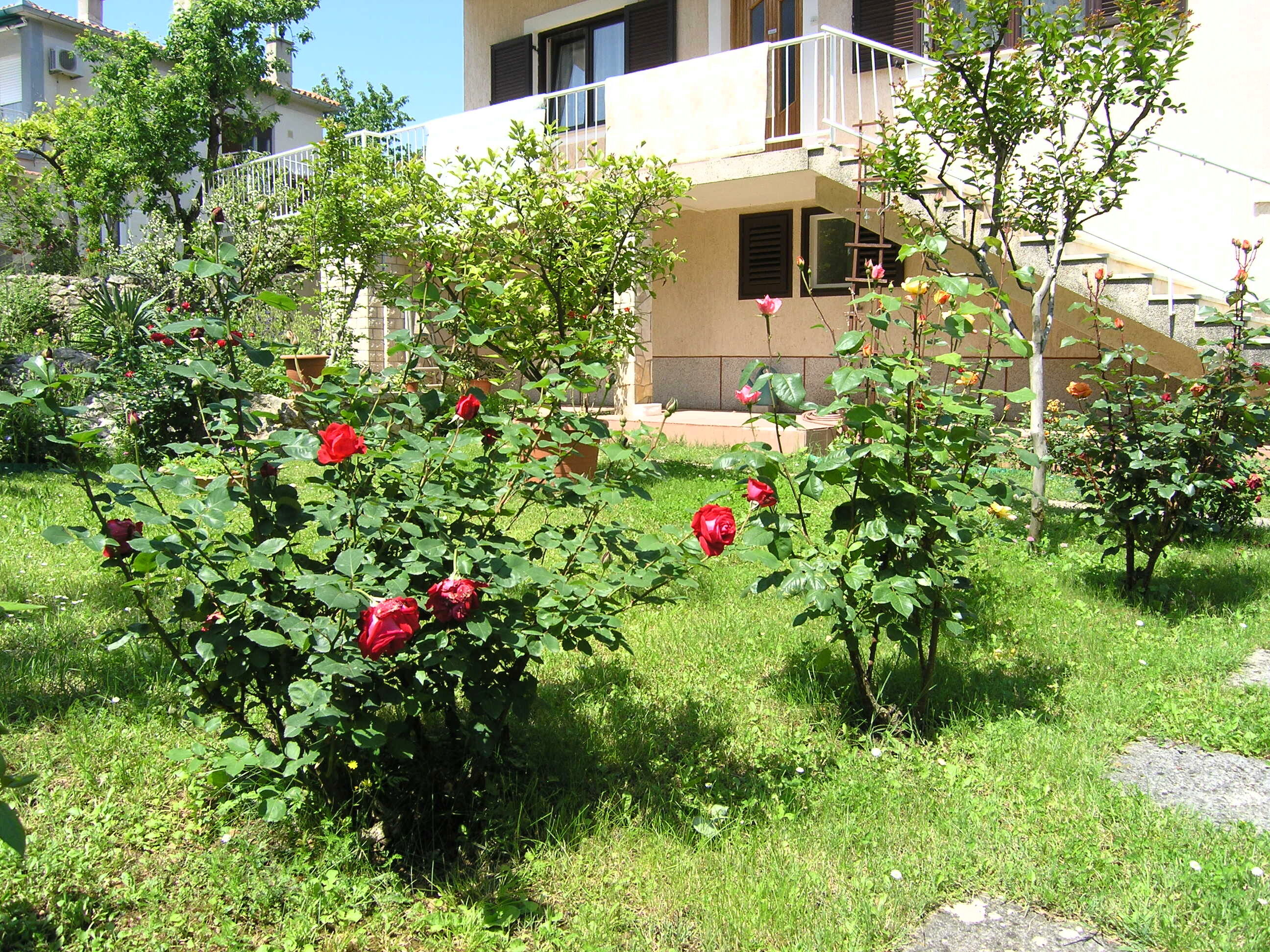 Apartments Pavicic 15541-A2