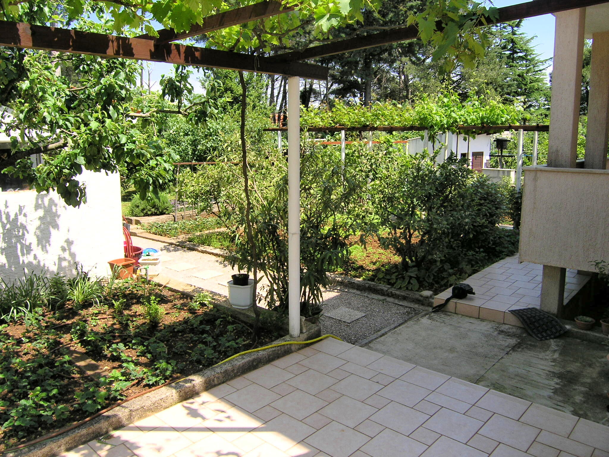 Apartments Pavicic 15541-A2