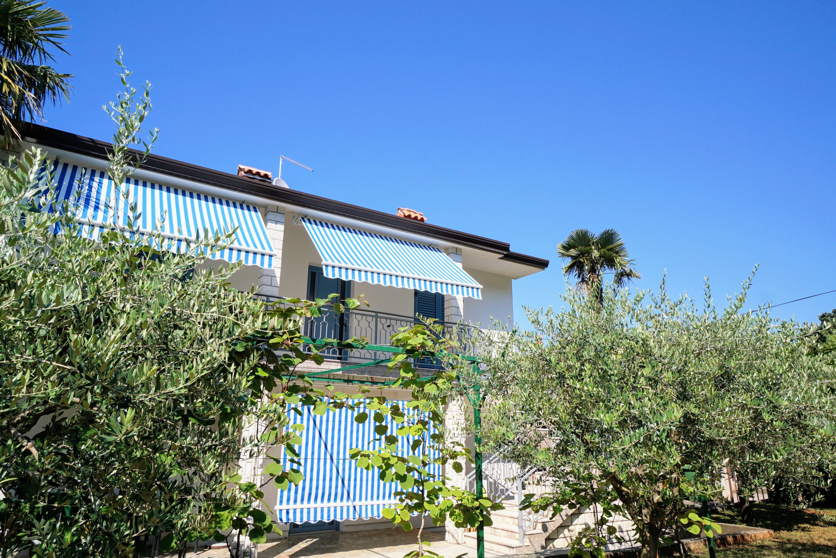Apartment NINO 79153-A1