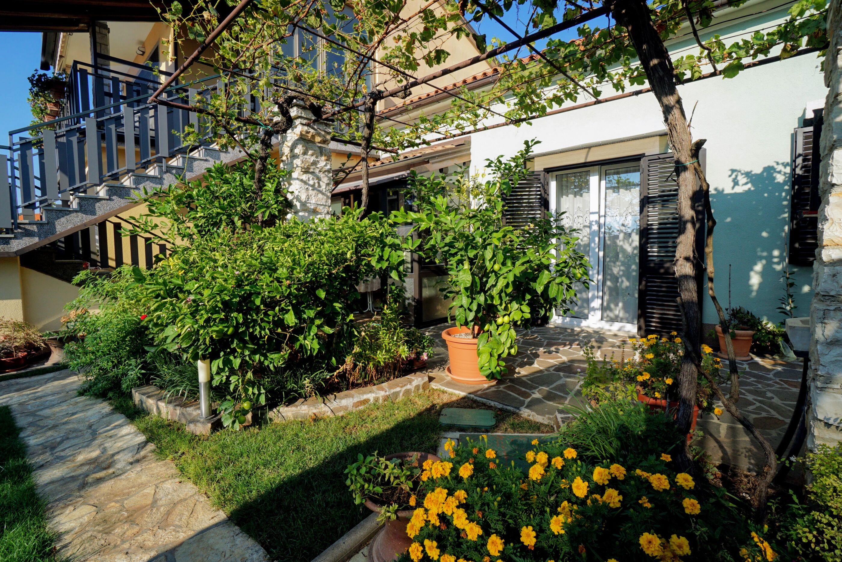 Apartments BEATRICE 79154-A3