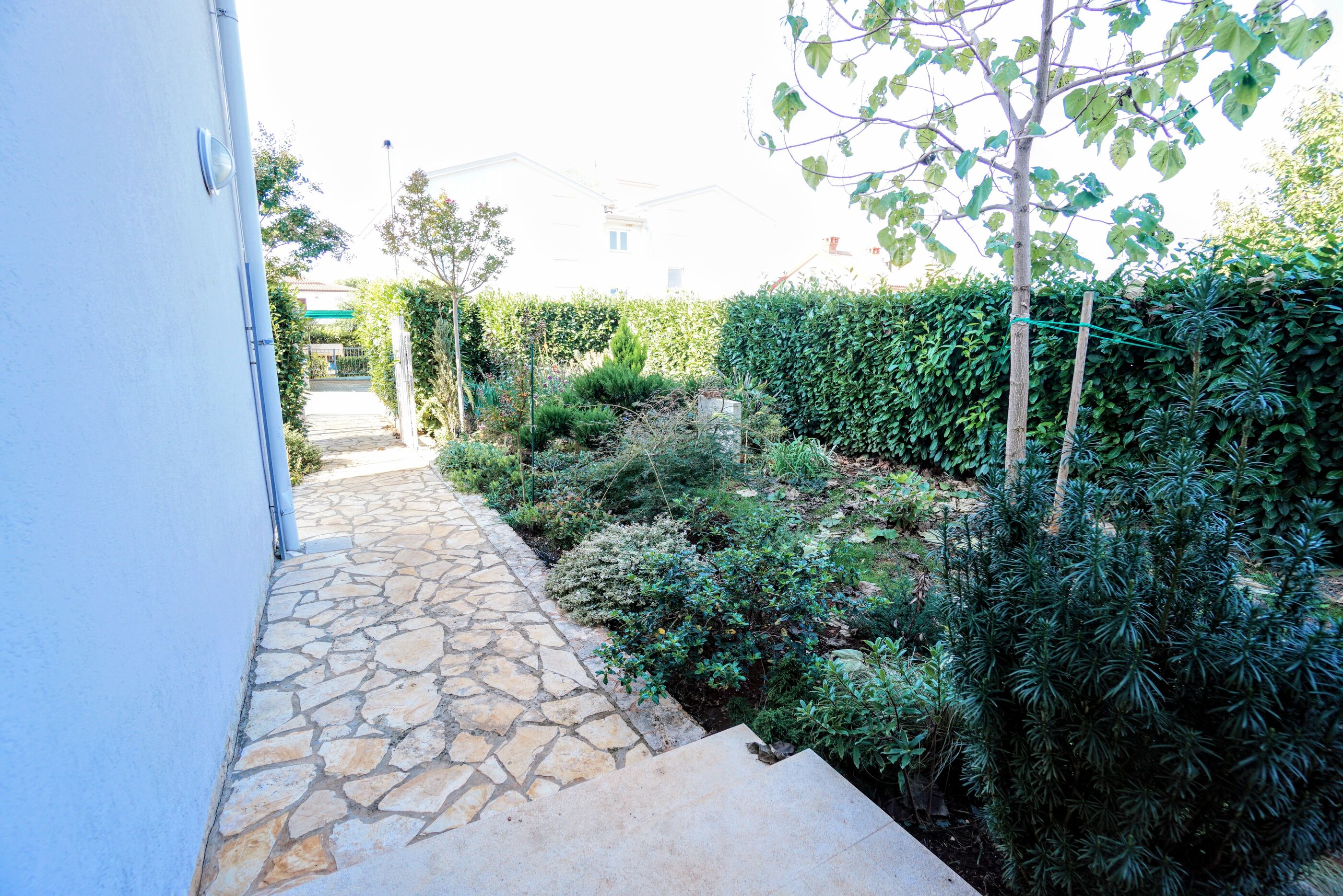 Apartment Vlado Zambratija 79155-A1