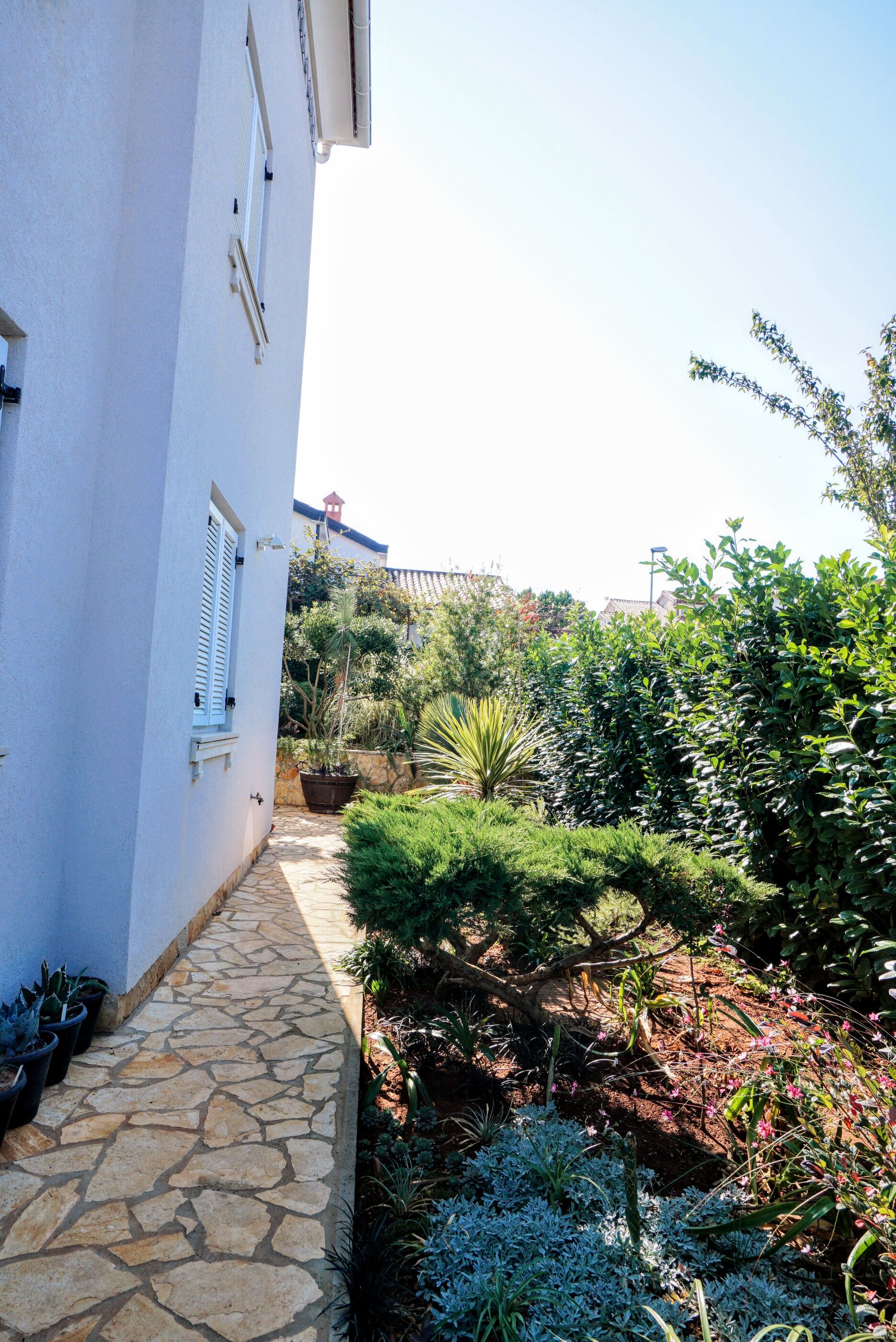 Apartment Vlado Zambratija 79155-A1
