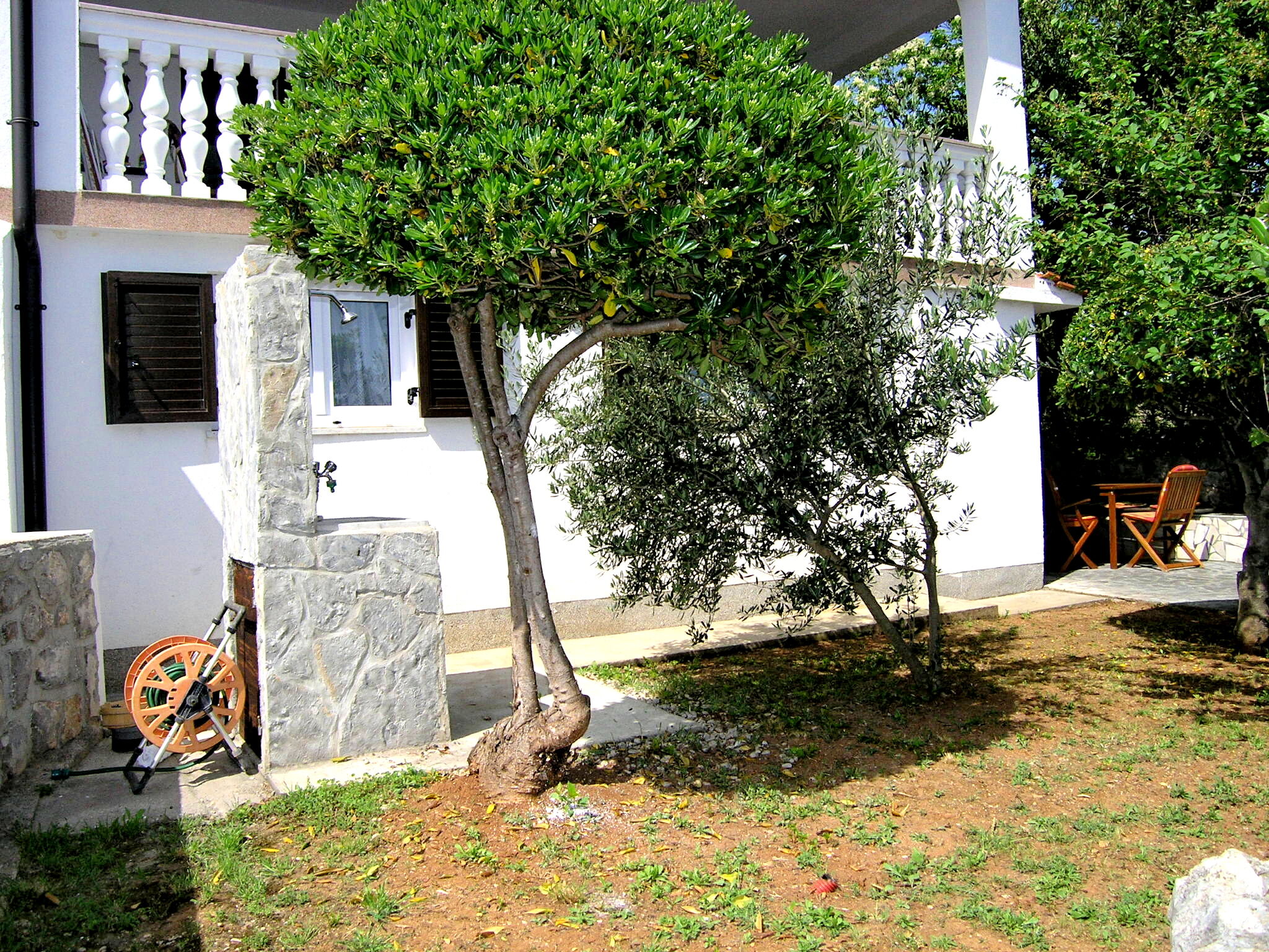 Apartment Tamara P 18221-A1
