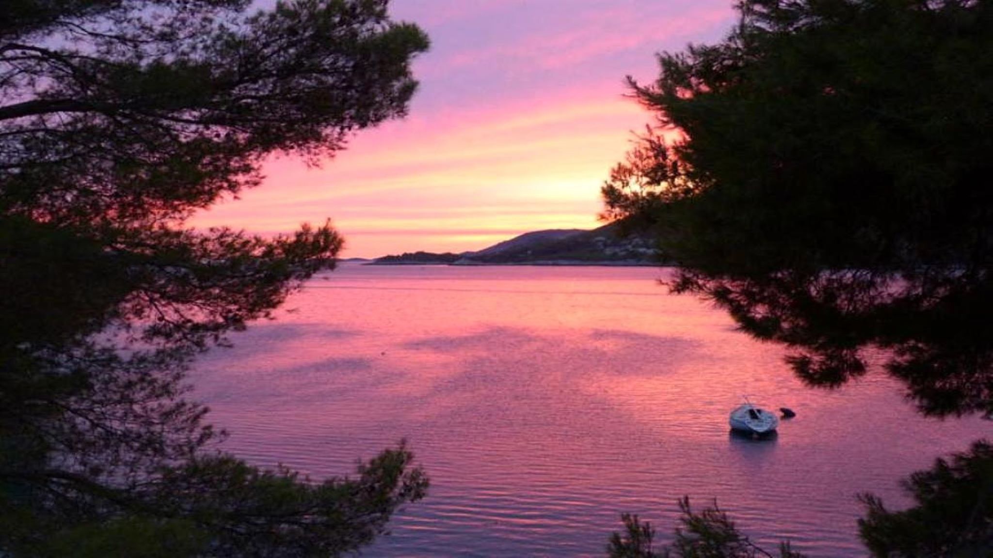 Photo of Apartments Dalibor