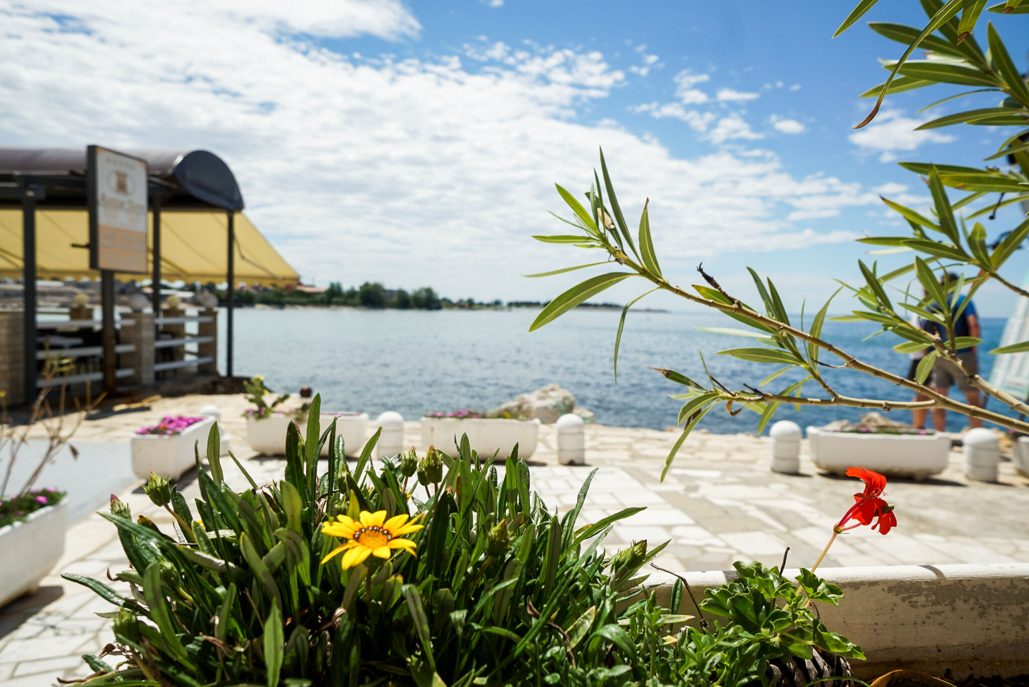 Apartments SEA VIEW Umag 79171-A2
