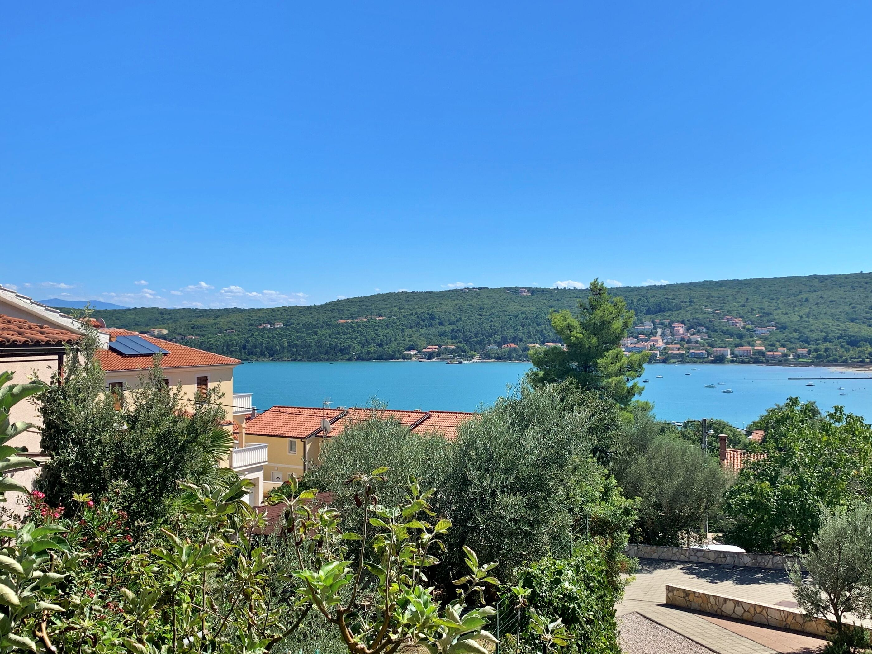 Apartments Šantić 64351-A1