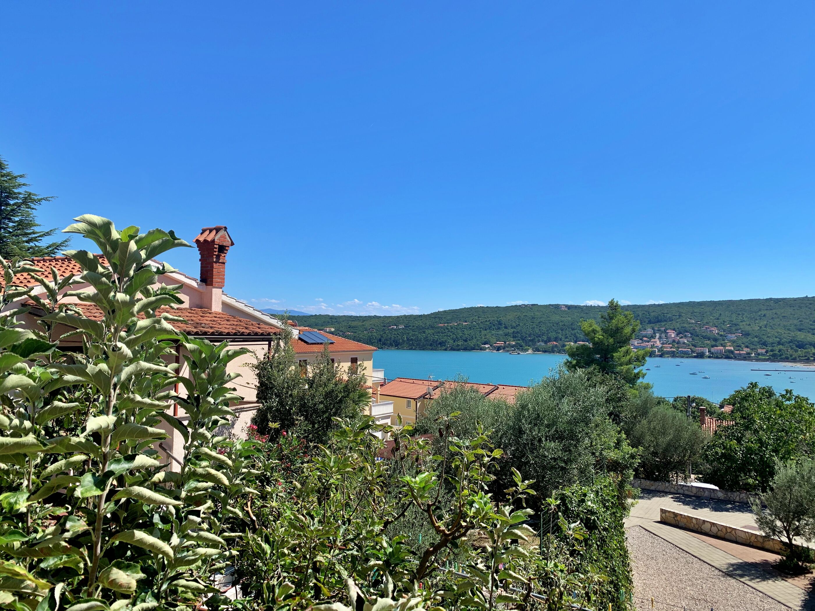 Apartments Šantić 64351-A1
