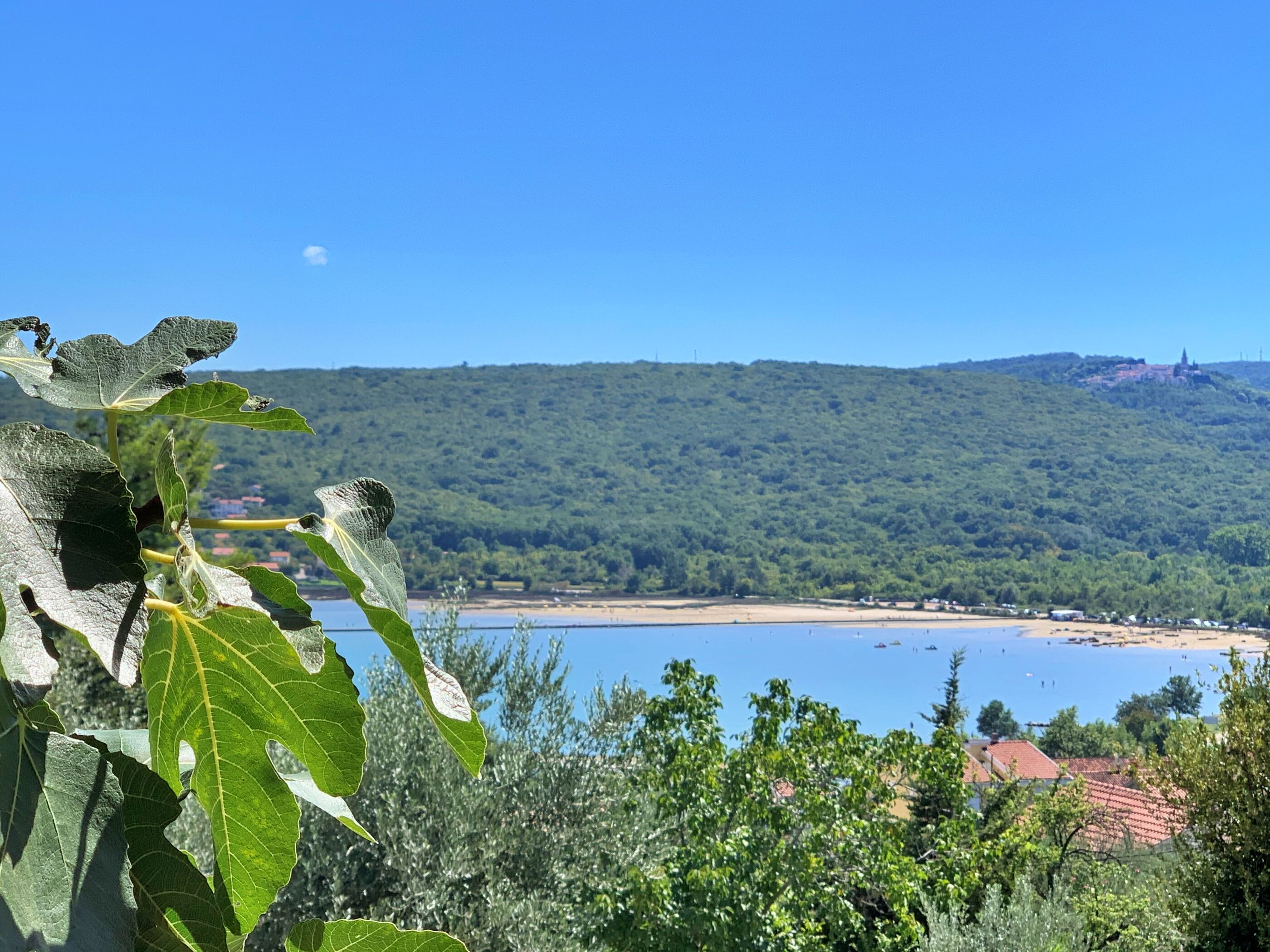 Apartments Šantić 64351-A2